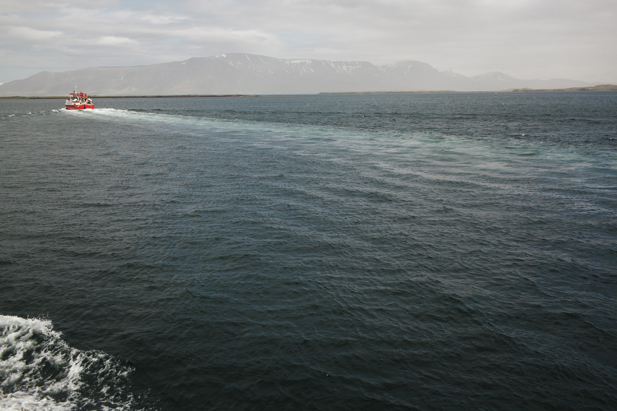 Контент-фотограф в Санкт-Петербурге Евгения Трастандецкая