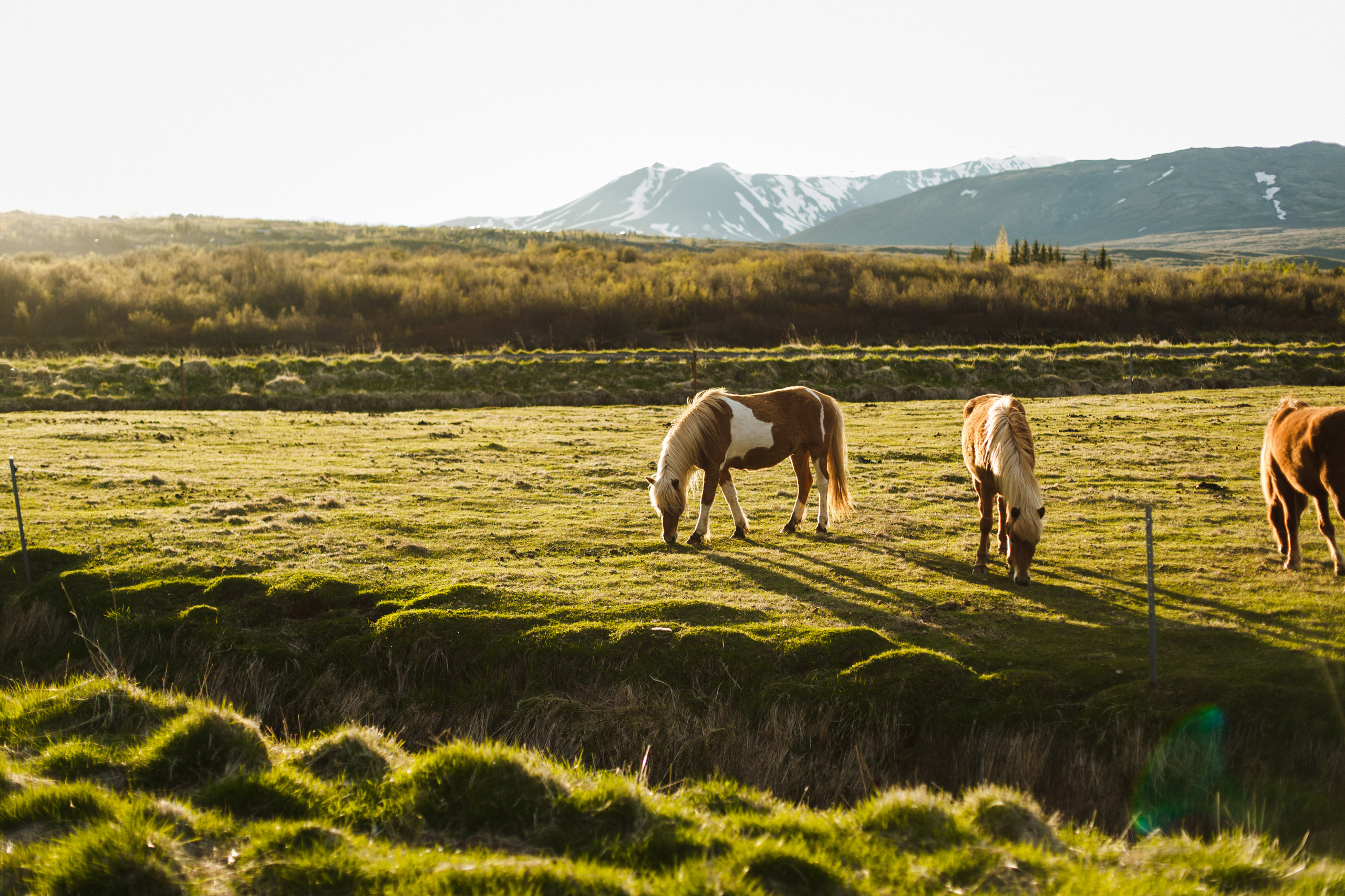 Контент-фотограф в Санкт-Петербурге Евгения Трастандецкая