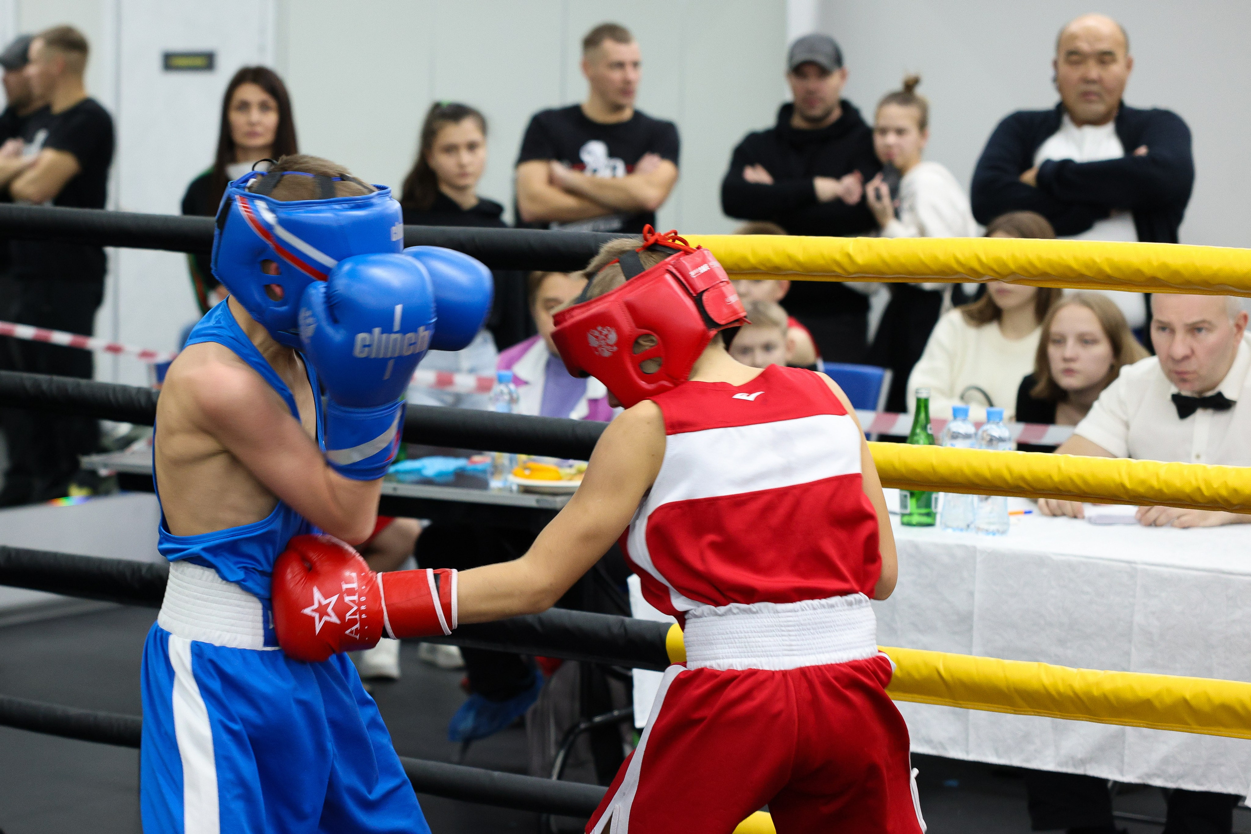 Открытый ринг «кубок ООО «ТЭК НеваСпецТяж». Фотограф Александр Заломаев