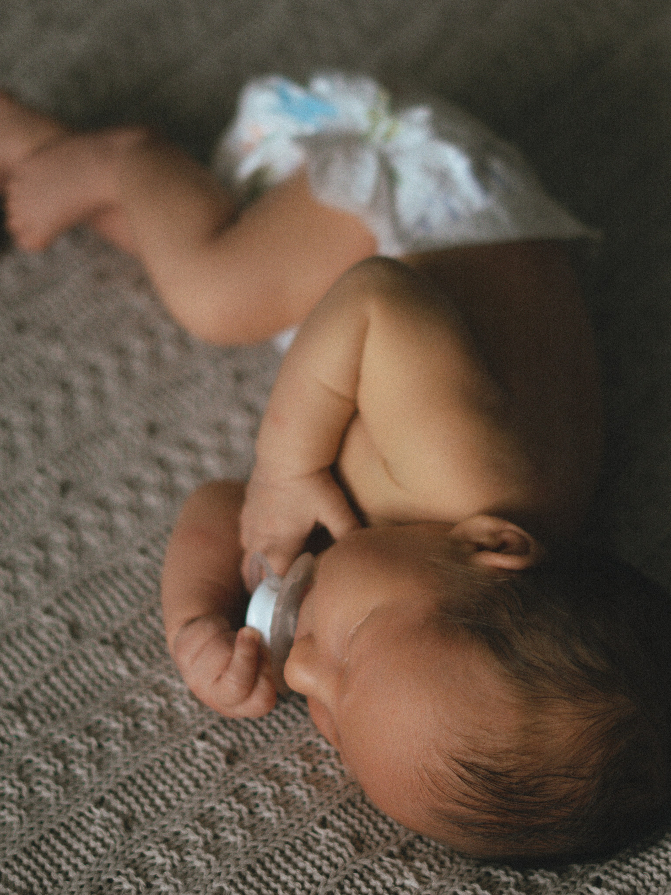 Мироша. SHILOVA PHOTO. Шилова Екатерина. Фотограф. Москва