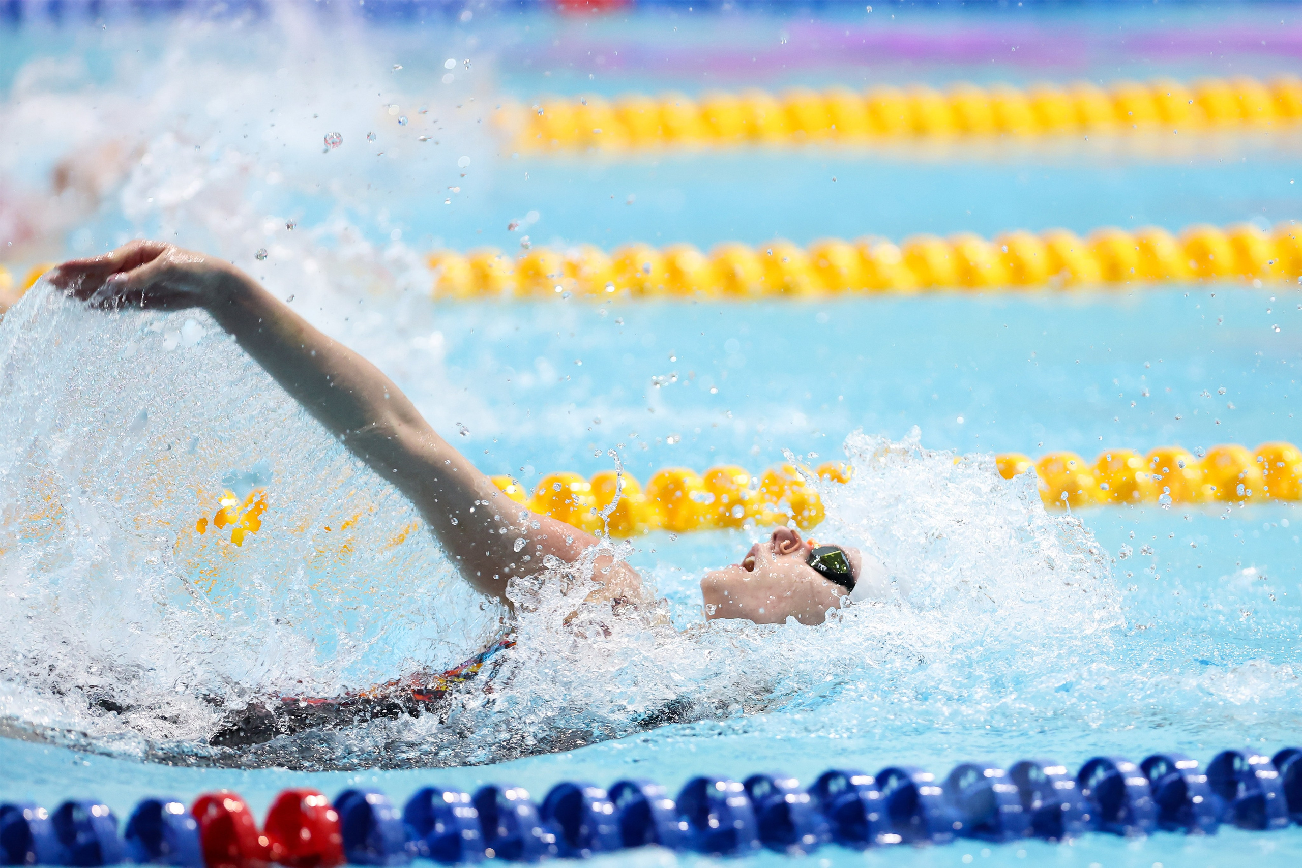 Чемпионат России по плаванию 25 м 20-25.11.2023. Спортивный и репортажный фотограф Антон Тереханов