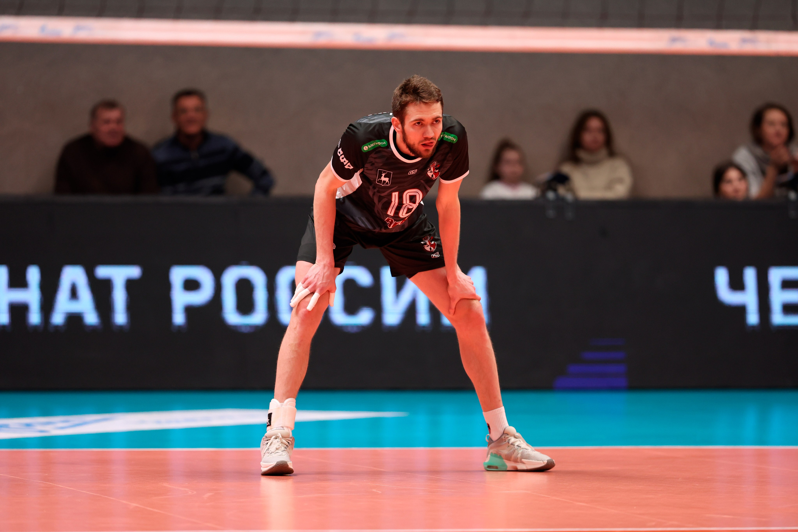 ВК Зенит — ВК АСК 15.03.2025. Спортивный и репортажный фотограф Антон Тереханов