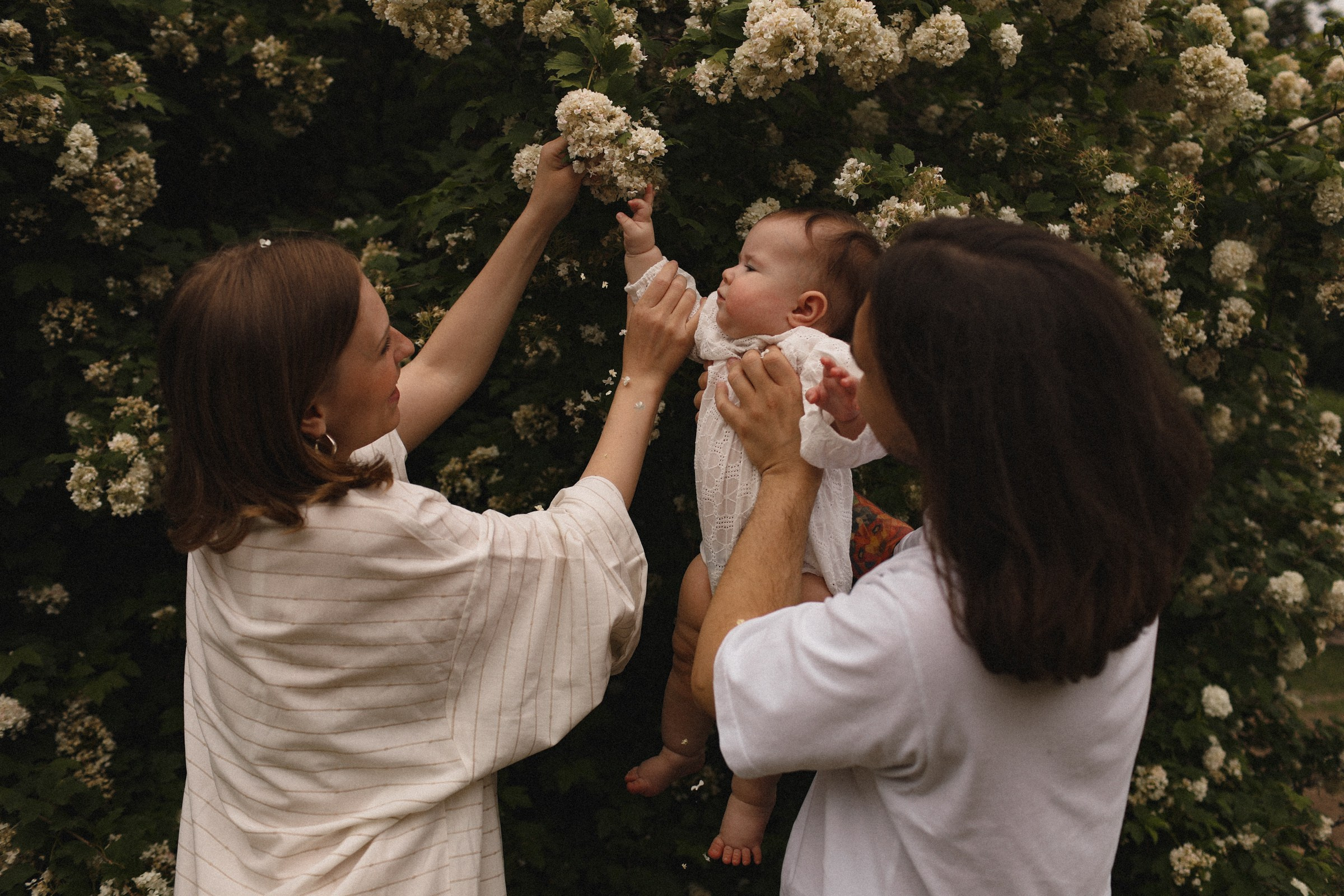 Про Нику, Сашу и Марго. Семейный фотограф в Москве Алевтина Носова