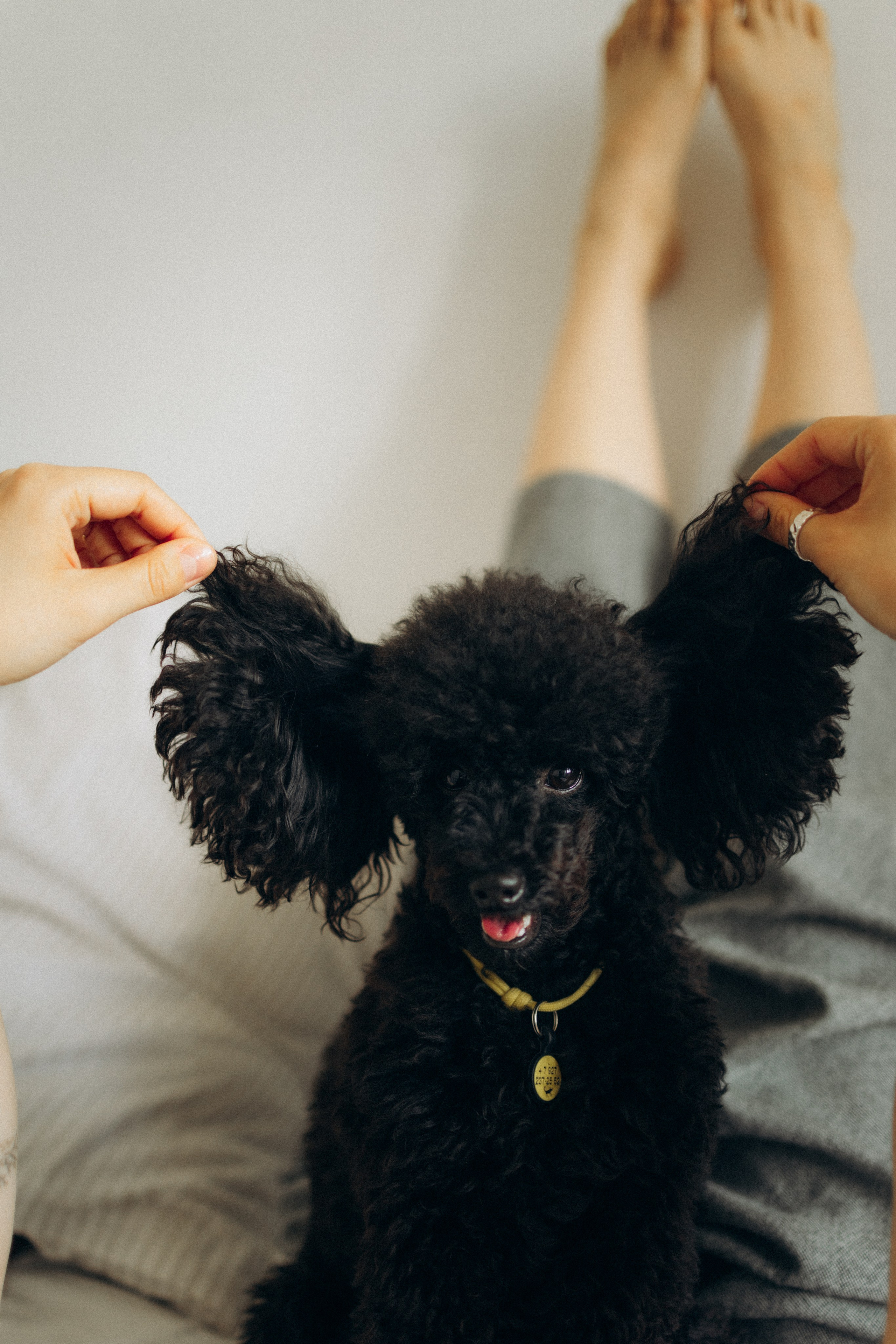 Полина и Мия. Фотораф — анималист Мария Шистка