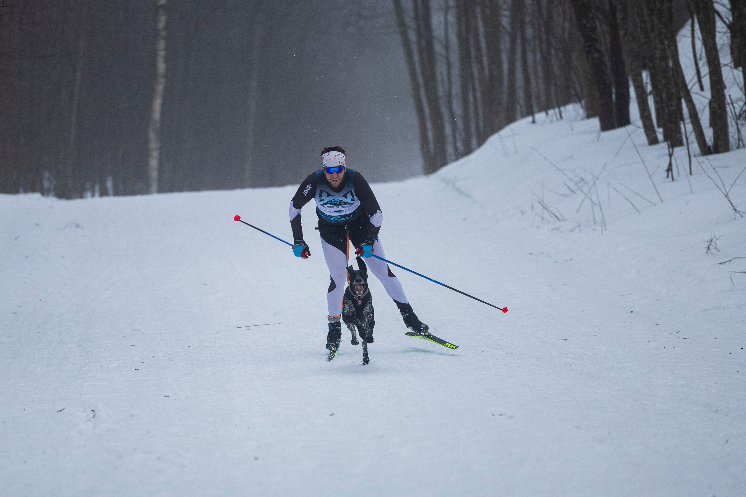 Зимний Чемпионат Санкт-Петербурга по ездовому спорту. Фотограф-анималист Анна Маринич