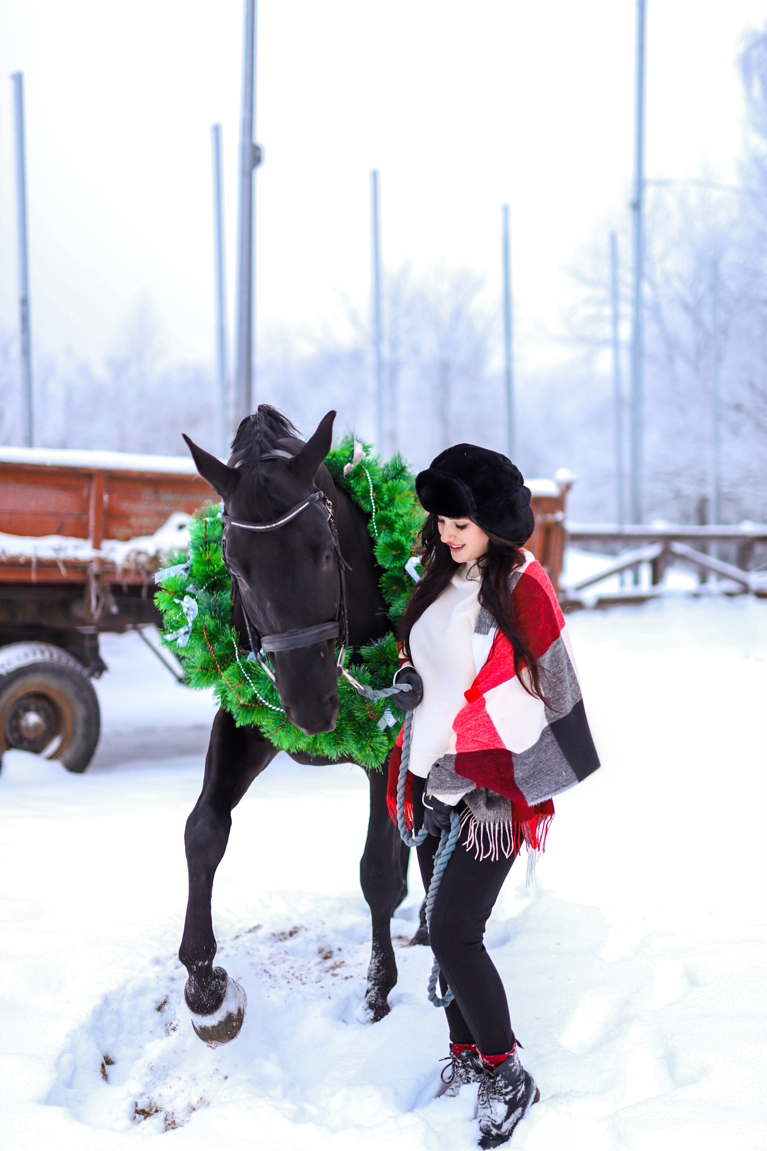 Renata and Ford🐴. Семейный фотограф Лахтикова Ирина