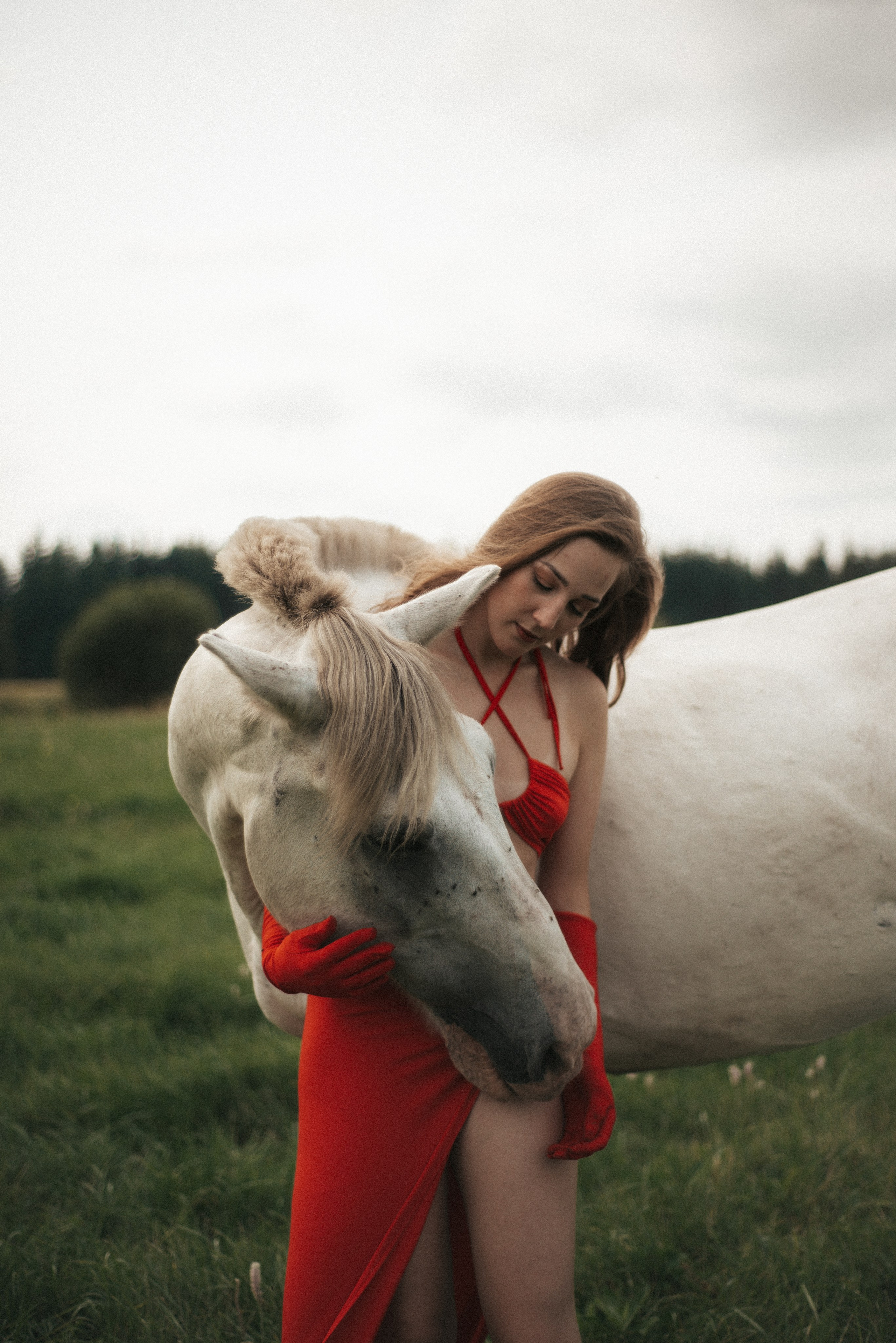 Horse. Фотограф