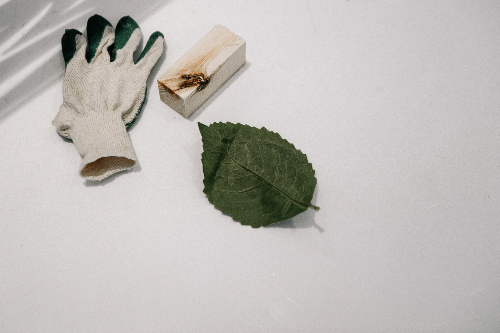 Behind the scenes. Алина Посторонка