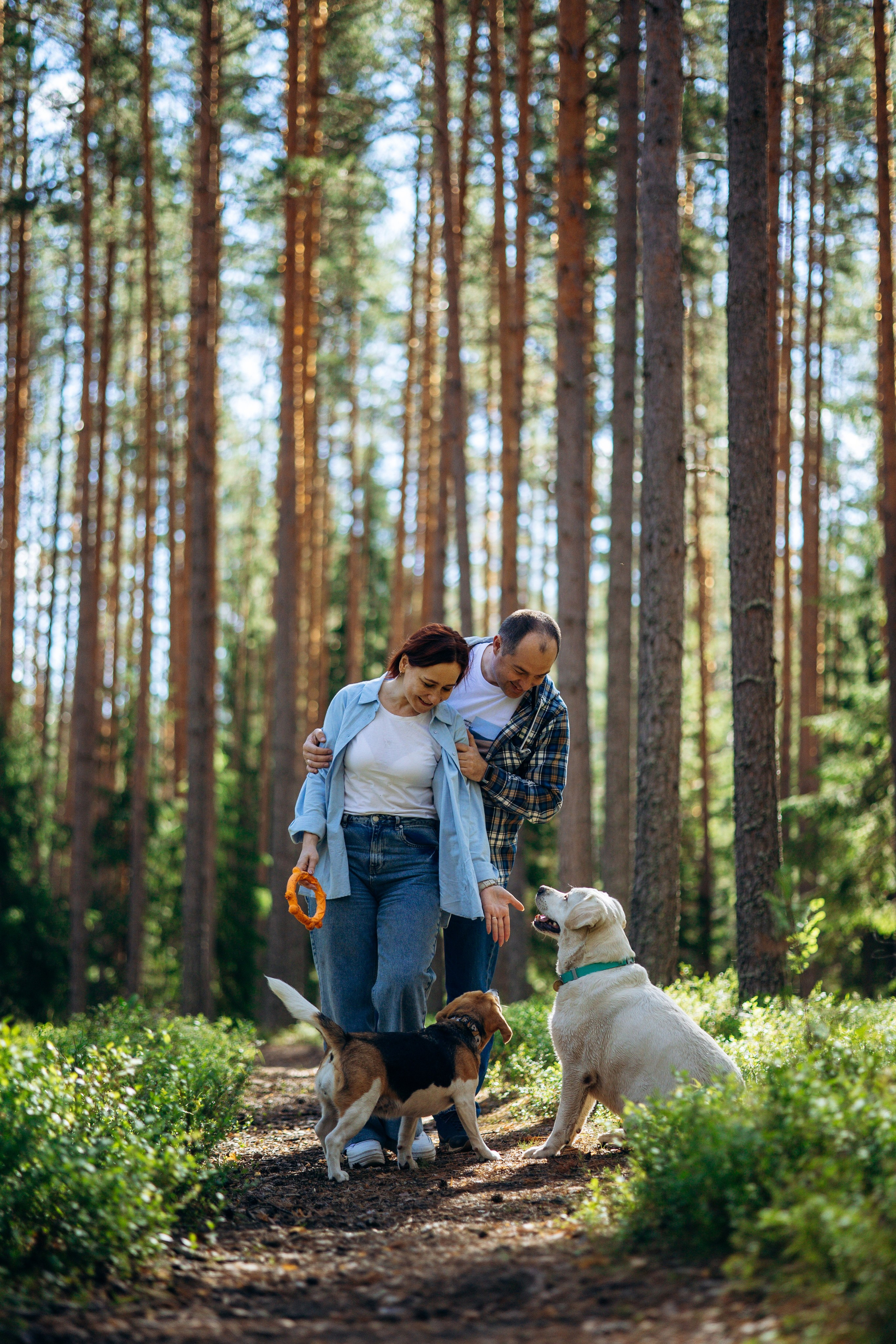 Котофеи и их семья. Фотограф — Анималист | Санкт-Петербург