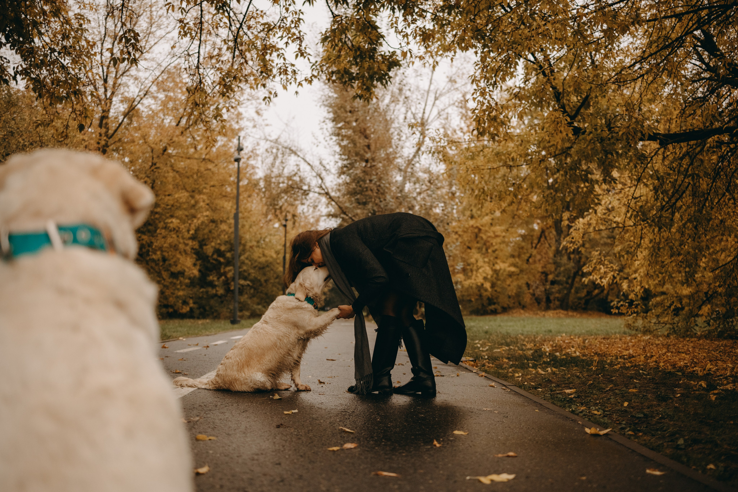 Женя и ее девочки. Фотограф — Анималист | Санкт-Петербург