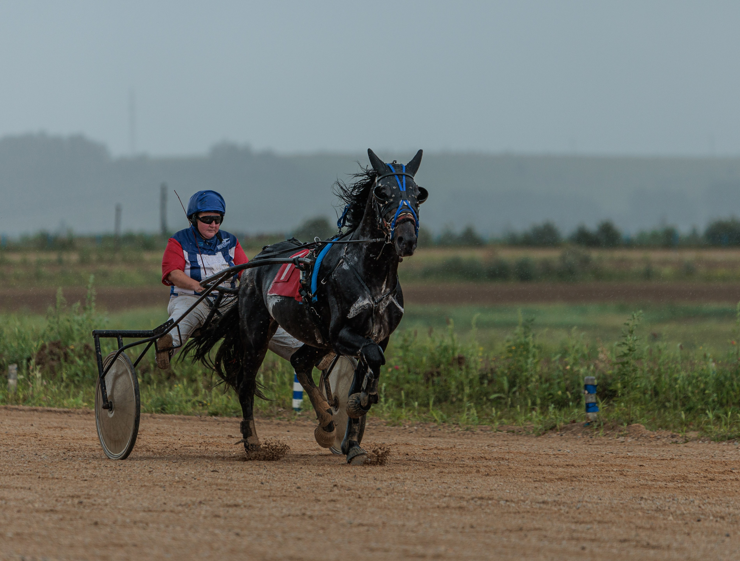 2025. Конный фотограф в Красноярске — Любовь Похабова