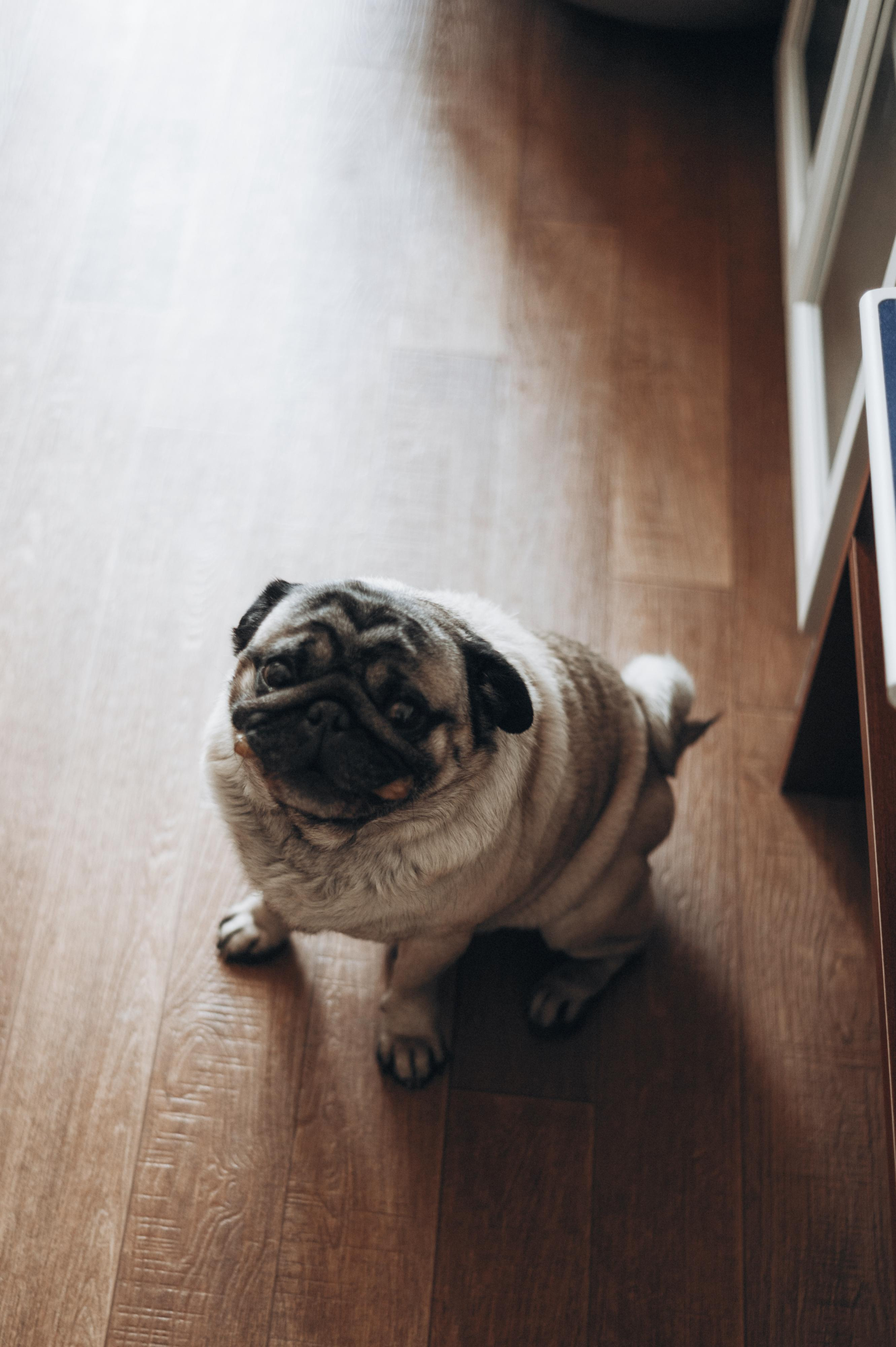 Малыш Дома. Фотограф в Саратове Анастасия Гладина