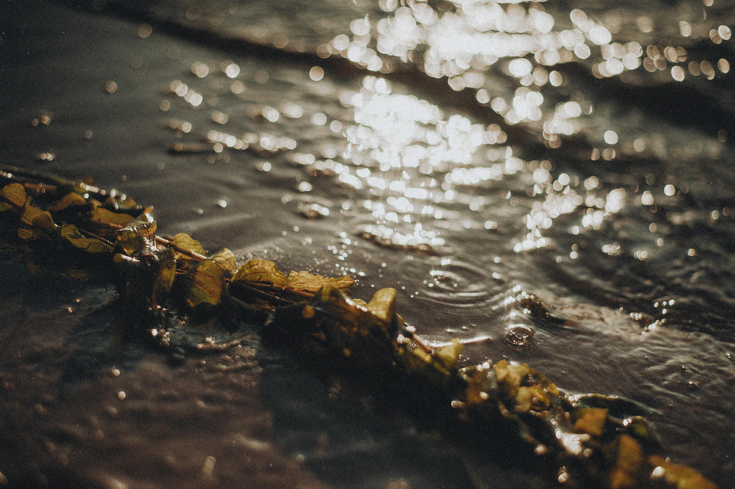 Оксана Максим. Фотограф в Саратове Анастасия Гладина