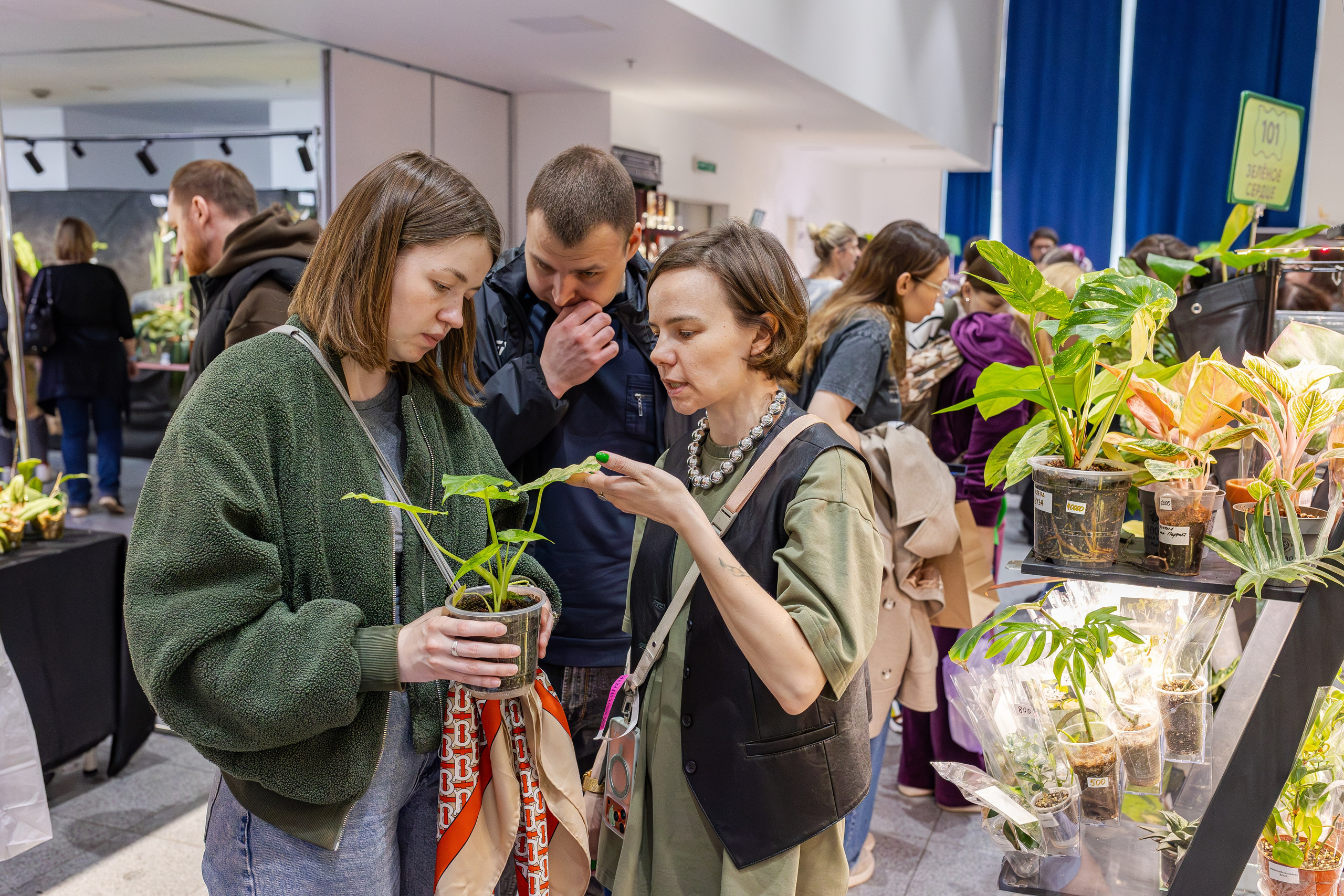 Монстериум апрель 2026. Александра Куликова фотограф, Москва