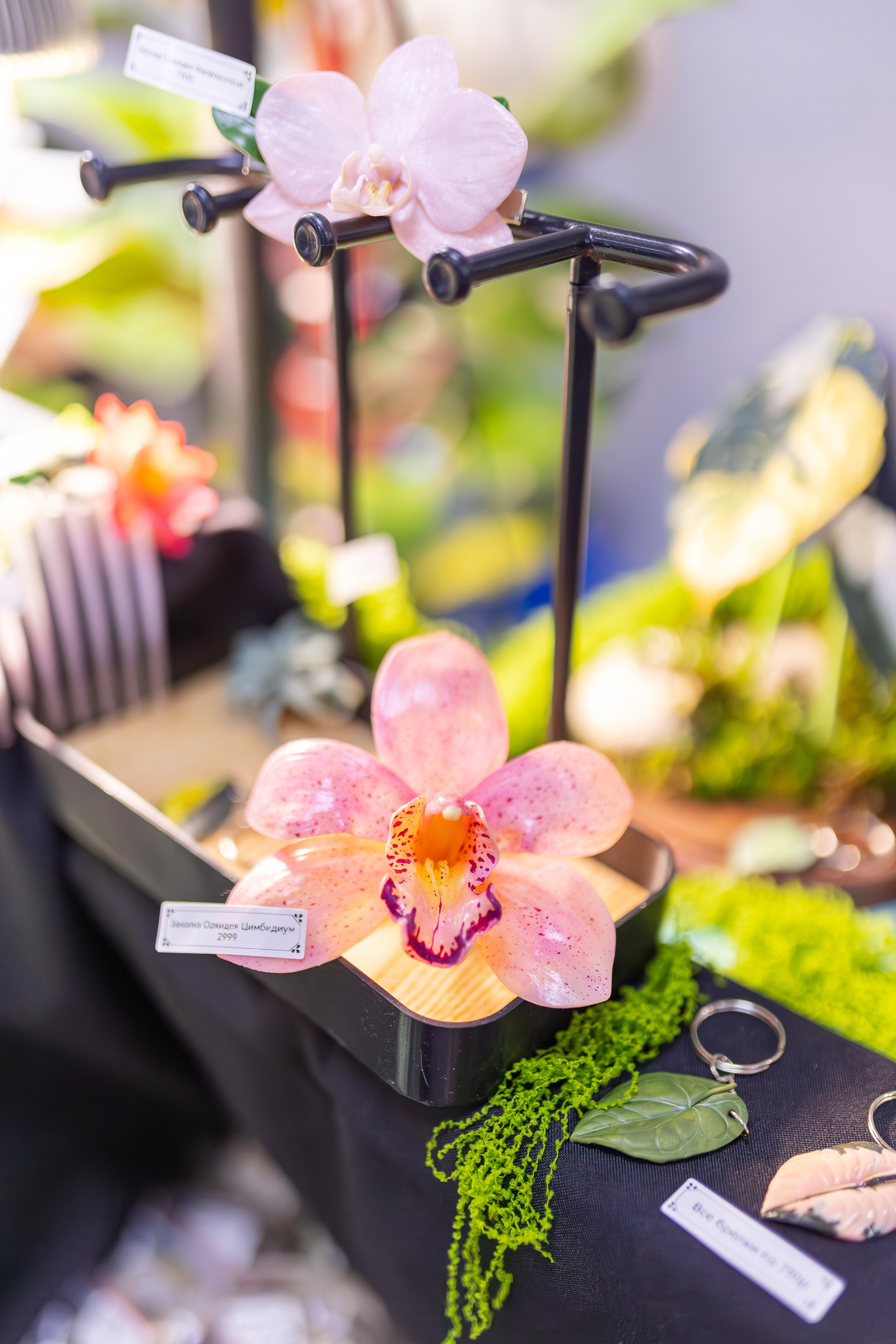 Монстериум апрель 2026. Александра Куликова фотограф, Москва