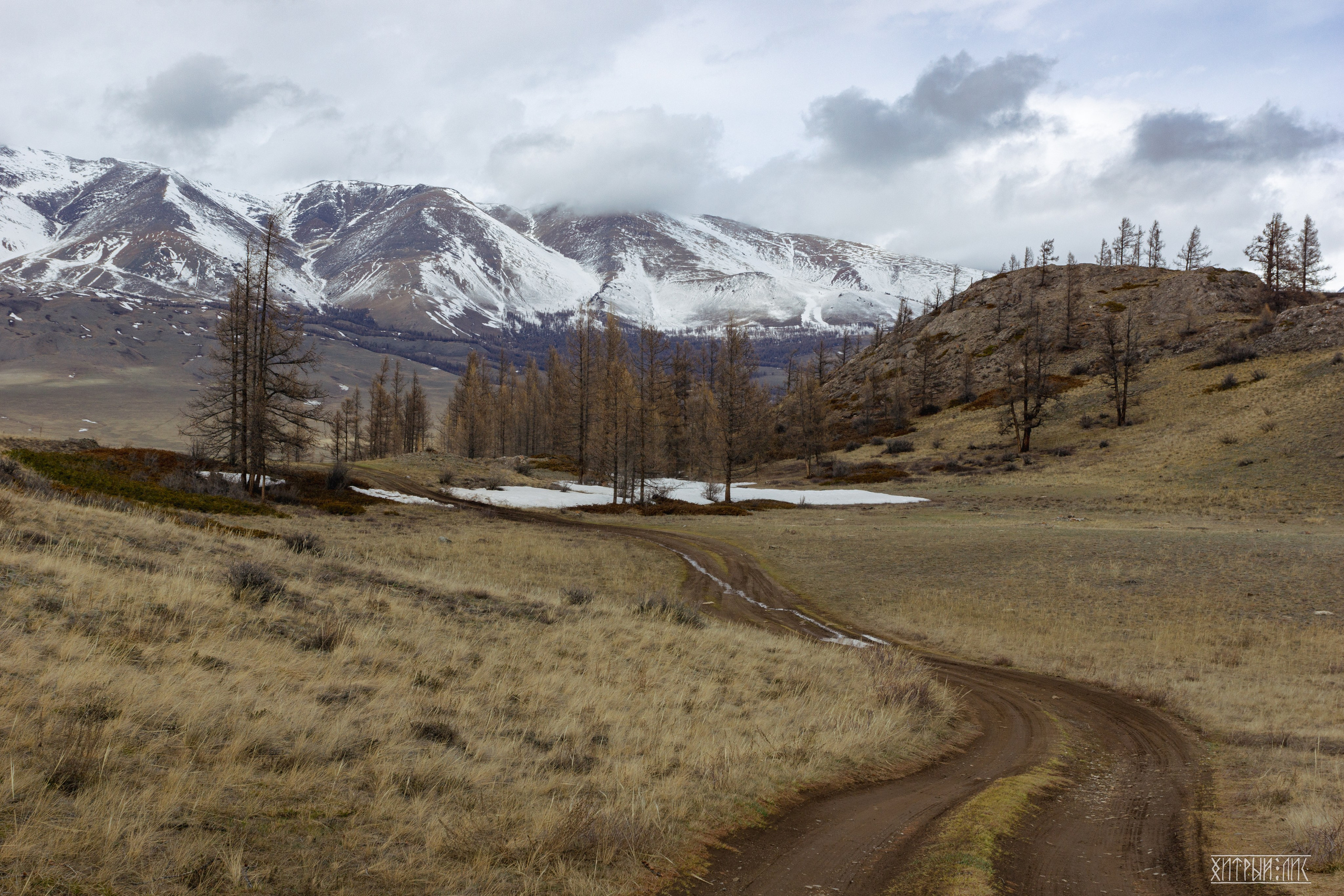 Алтай. Фотограф-путешественник Самойлов Максим «Sly Fox»
