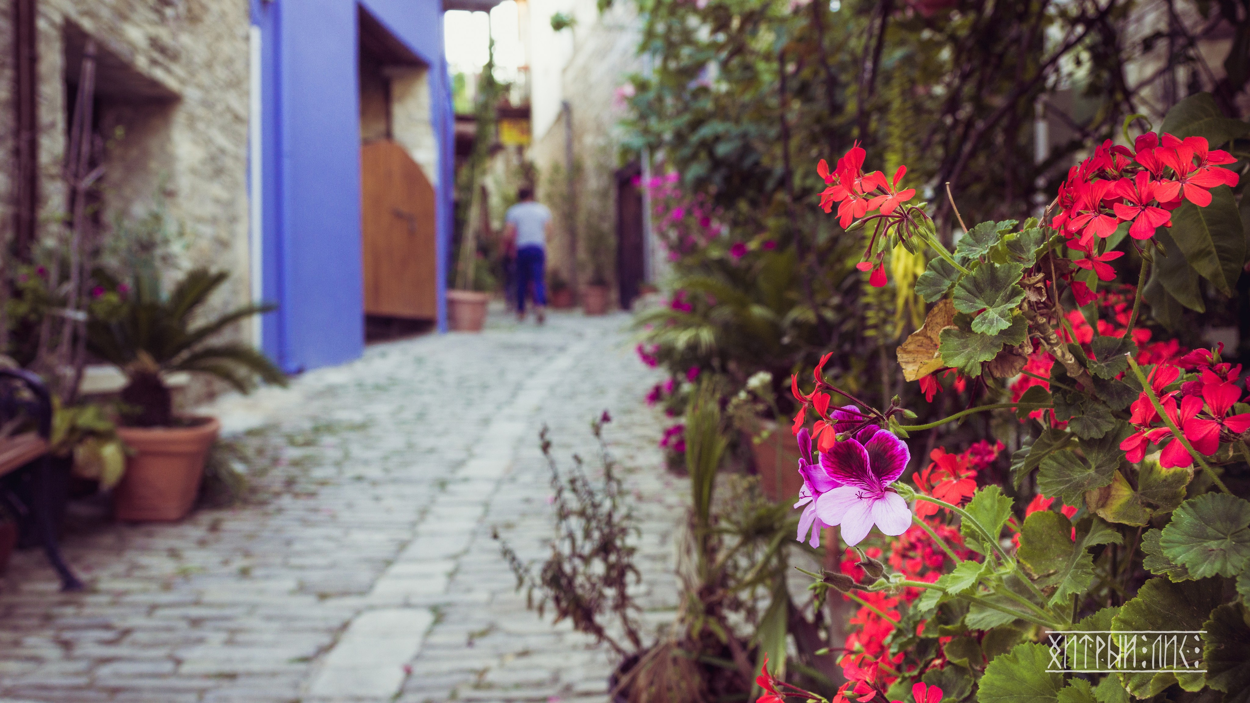 Кипр. Фотограф-путешественник Самойлов Максим «Sly Fox»