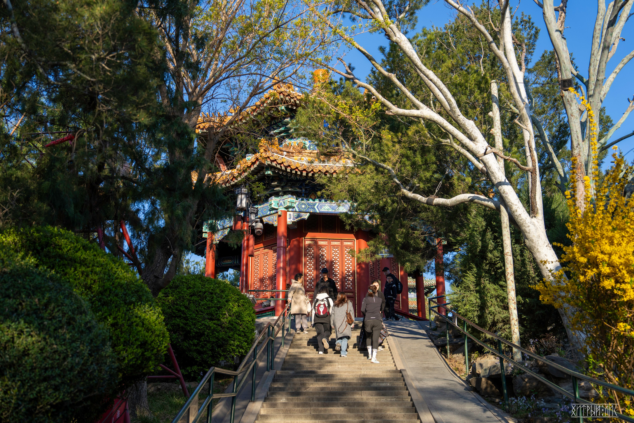 Пекин. Фотограф-путешественник Самойлов Максим «Sly Fox»