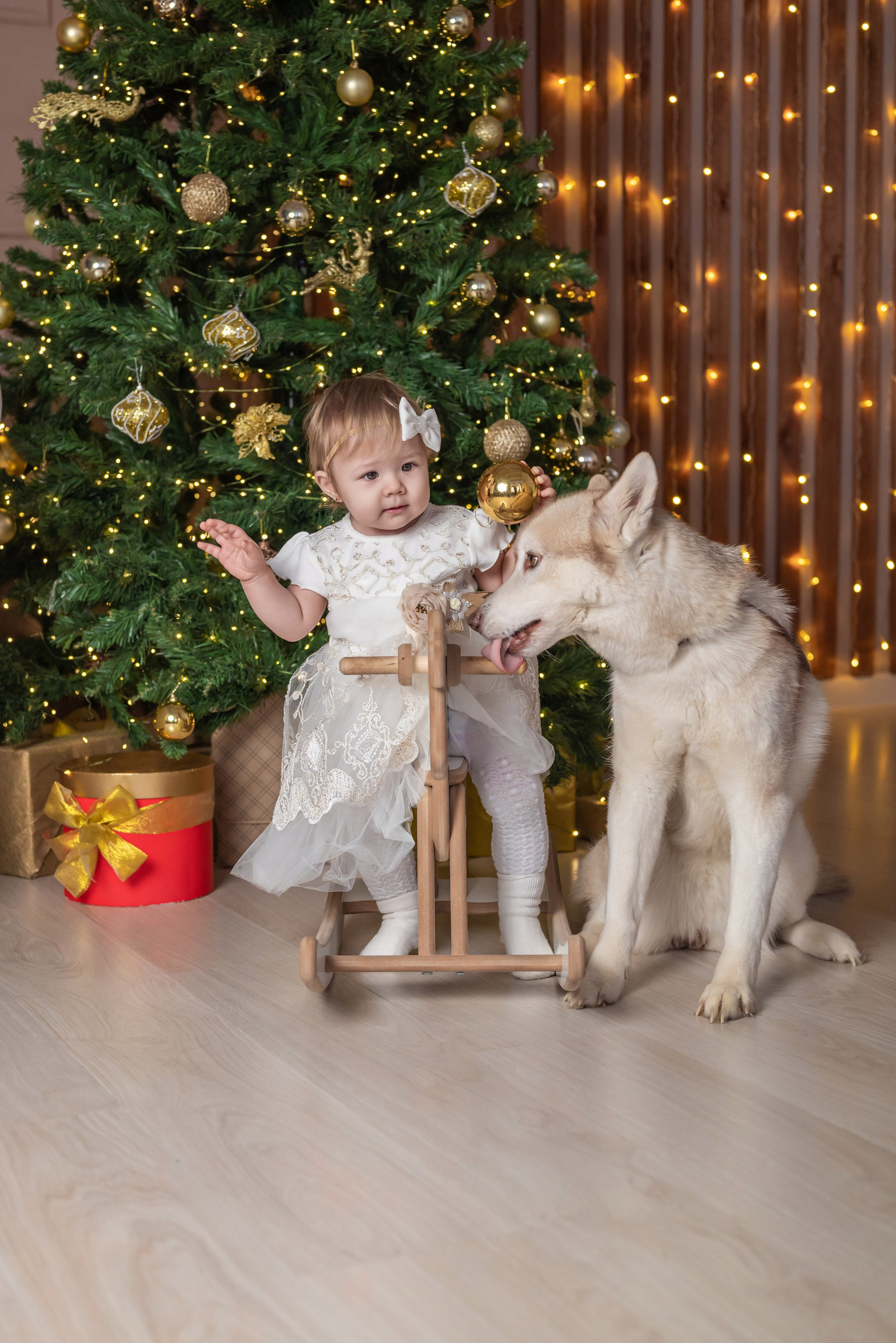 Фотопроект с хаски. Фотограф в городе Салават