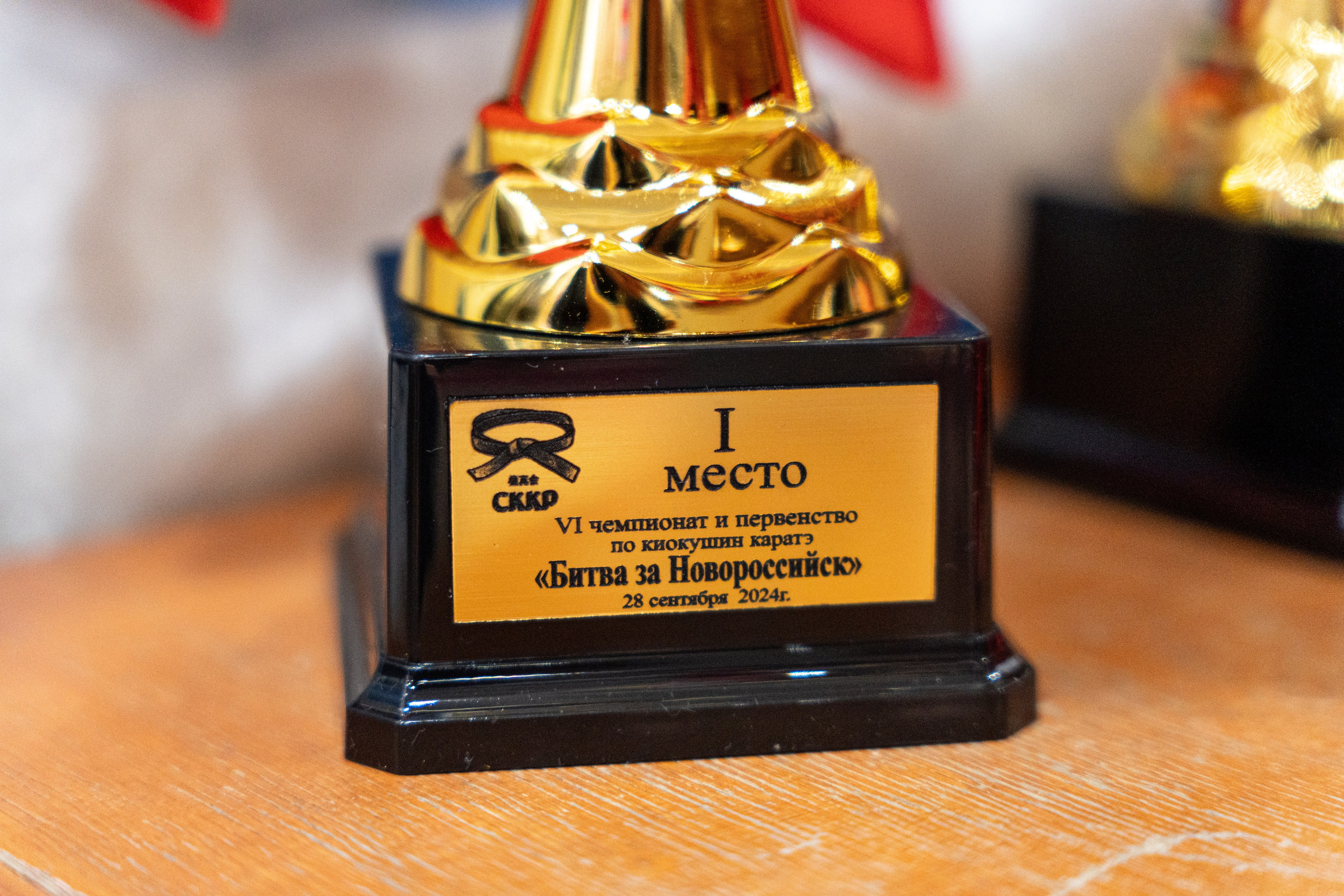 Репортажная съемка соревнований по каратэ. Профессиональный фотограф Геленджик, Новоросийск Виктория Цейс