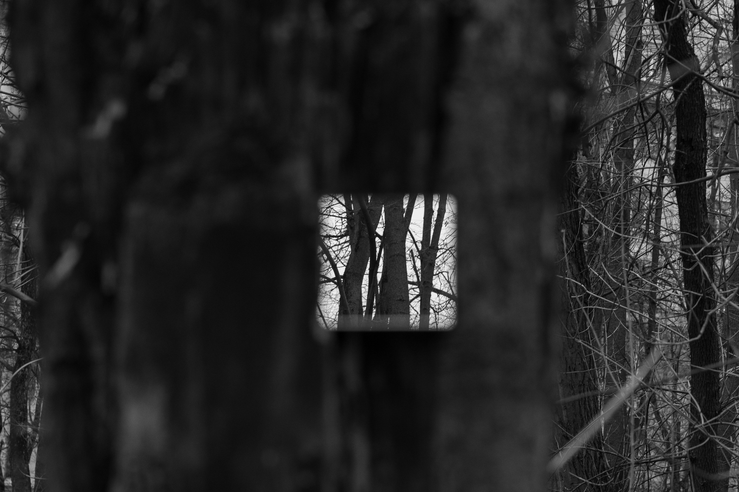 Art prints. Фотограф алина стерхова, алина стерхова фотограф, фотограф москва