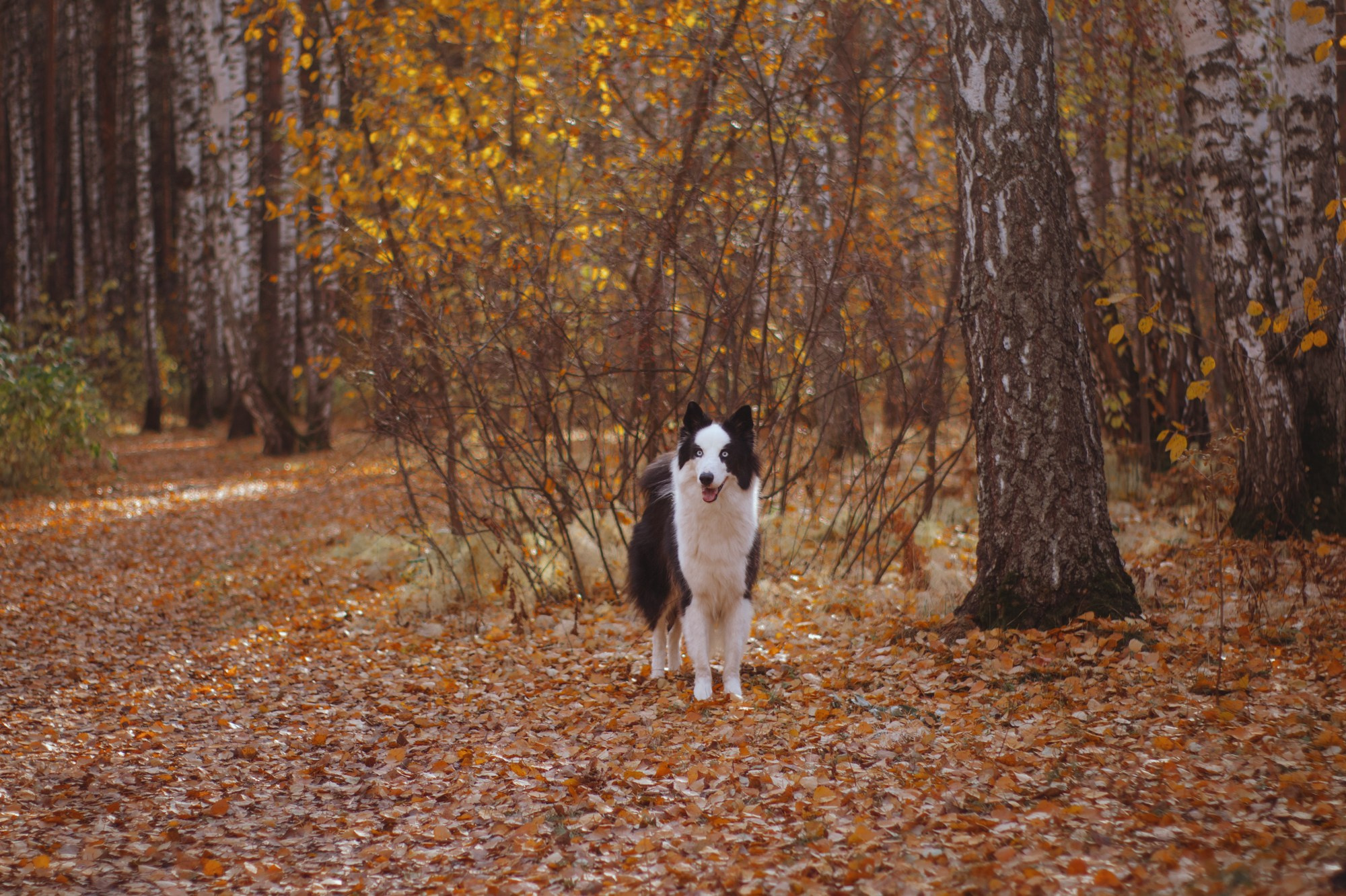 Ликёр. Фотограф в Тюмени Лизавета Сапицкая