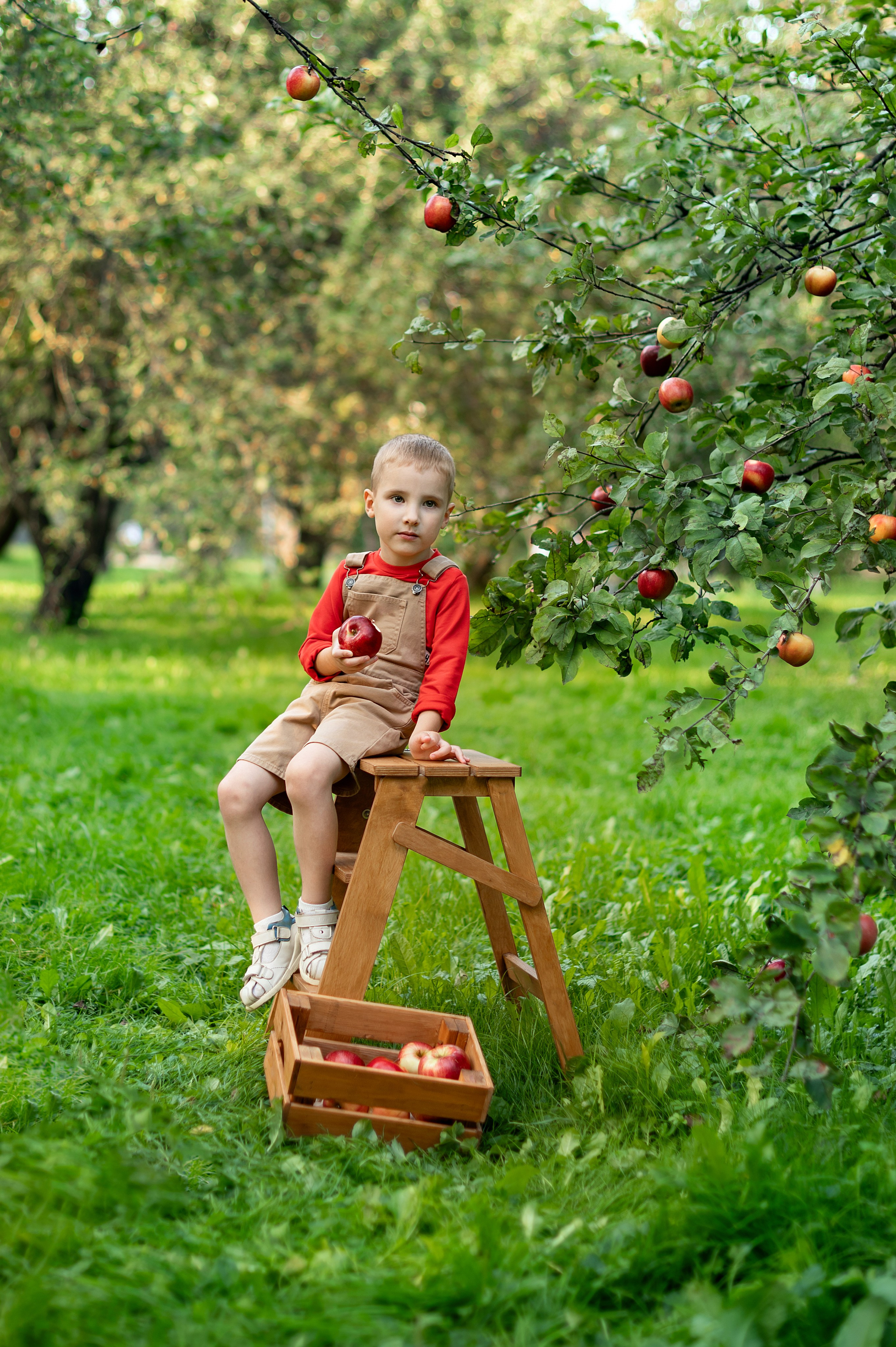 Яблоки. Детский и семейный фотограф г. Москва Оксана Катаджи