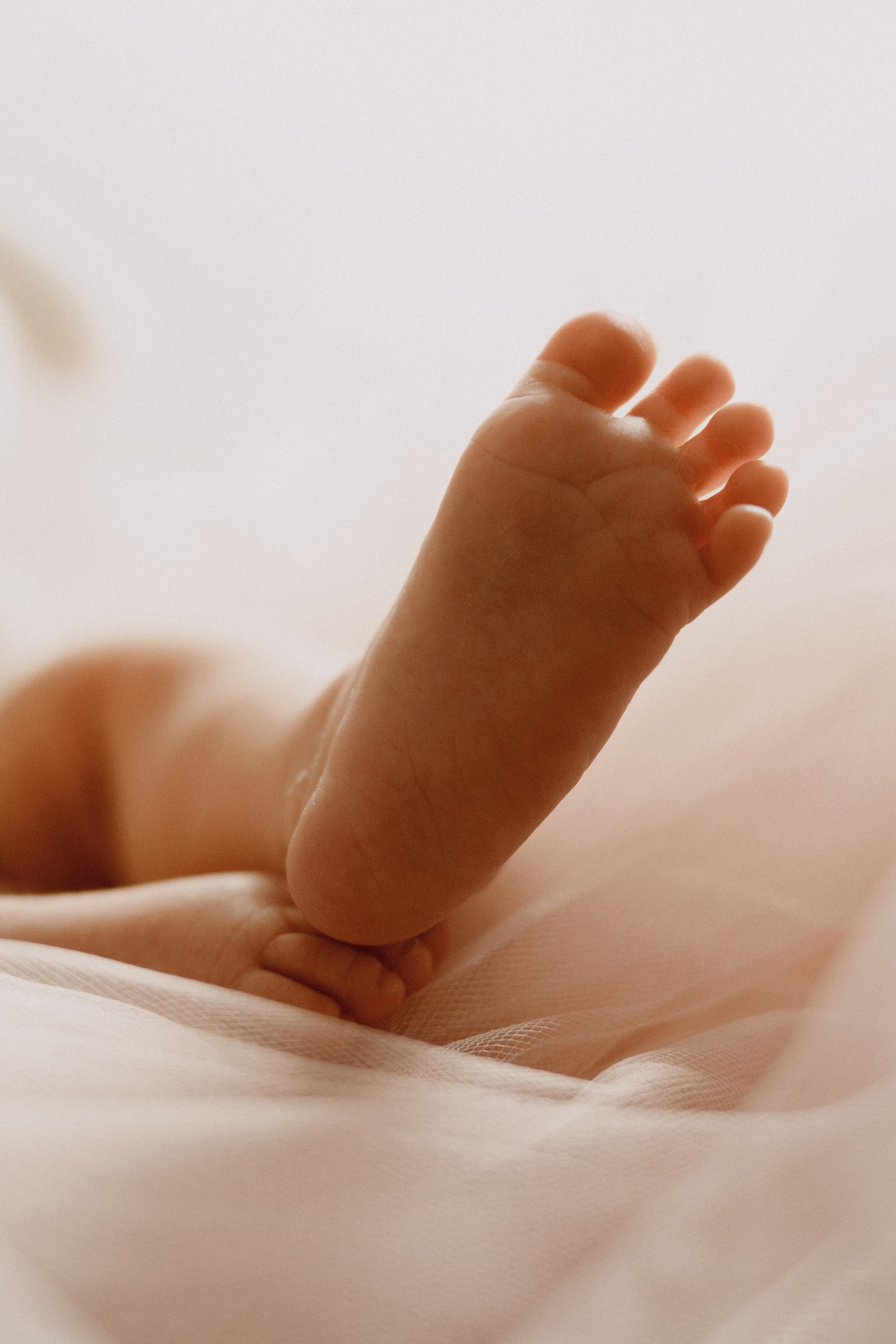 Ньюборн. Семейный фотограф в Москве Полина Курданина