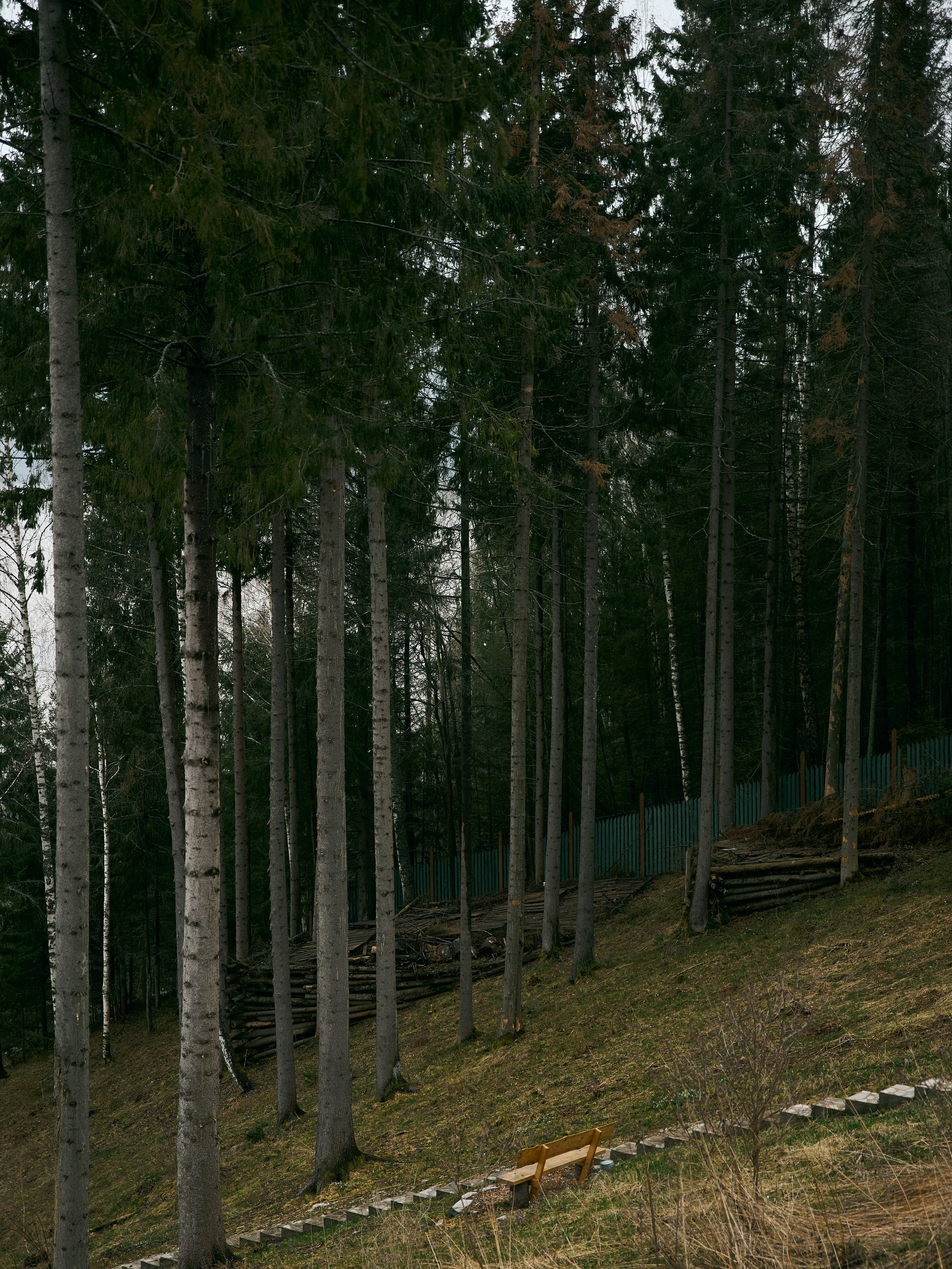 ЧТО, ЕСЛИ СЧАСТЬЕ — ЭТО ТАМ, ГДЕ ТЫ И Я?. Свадебный фотограф Анна Чащухина