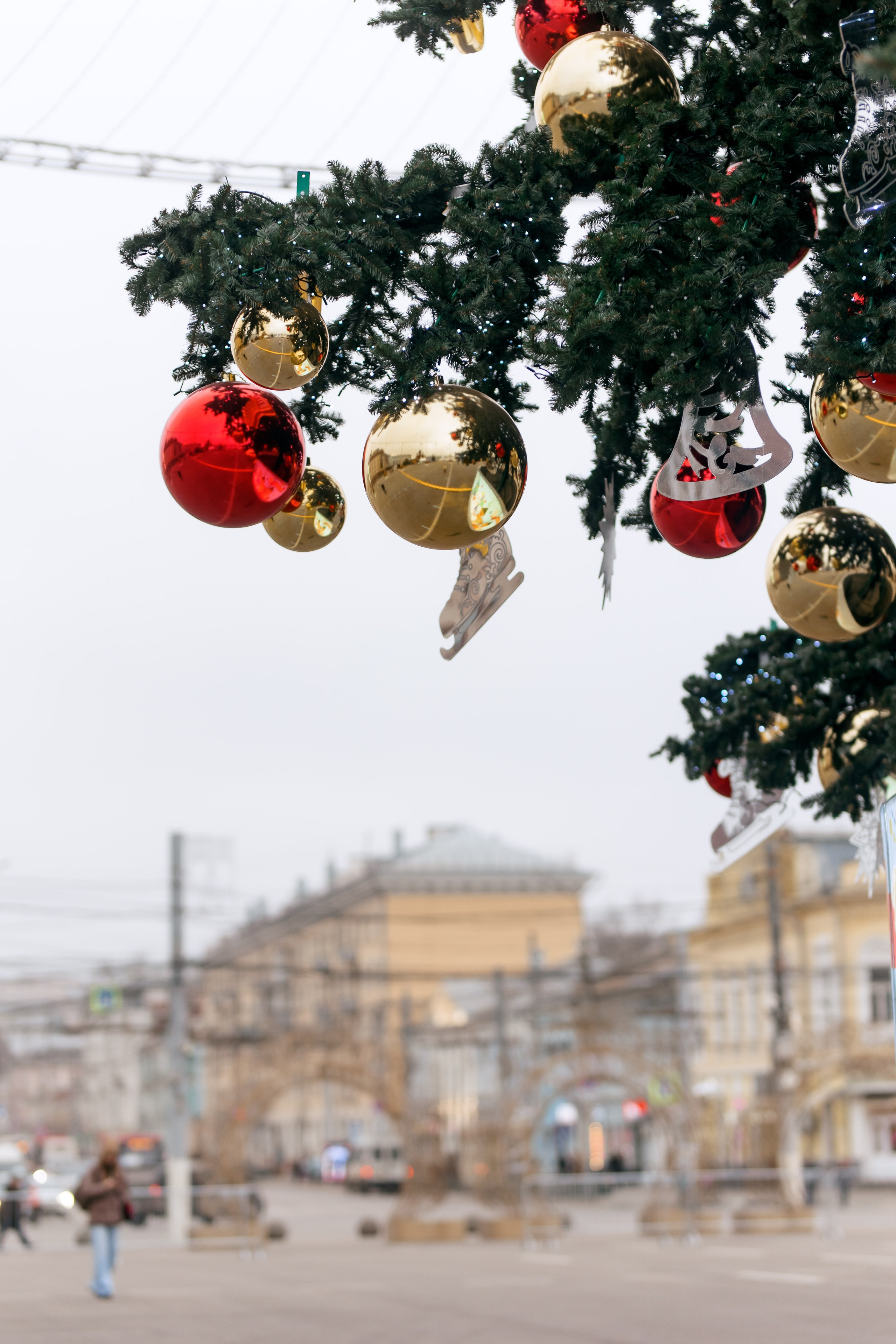 Наша новая елка. Свадебный и портретный фотограф — Мария Костина