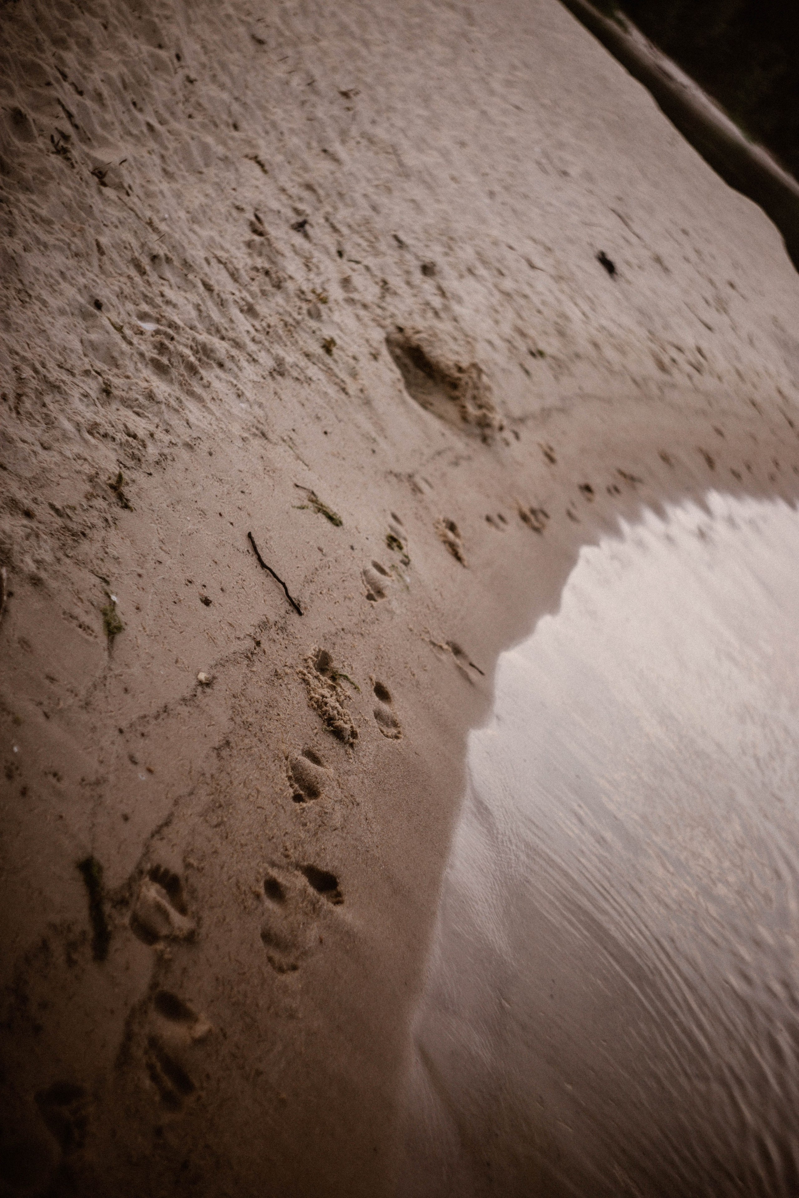 ФотоТуса ГОРЕ-МОРЕ. Фотограф в Нижнем Новгороде