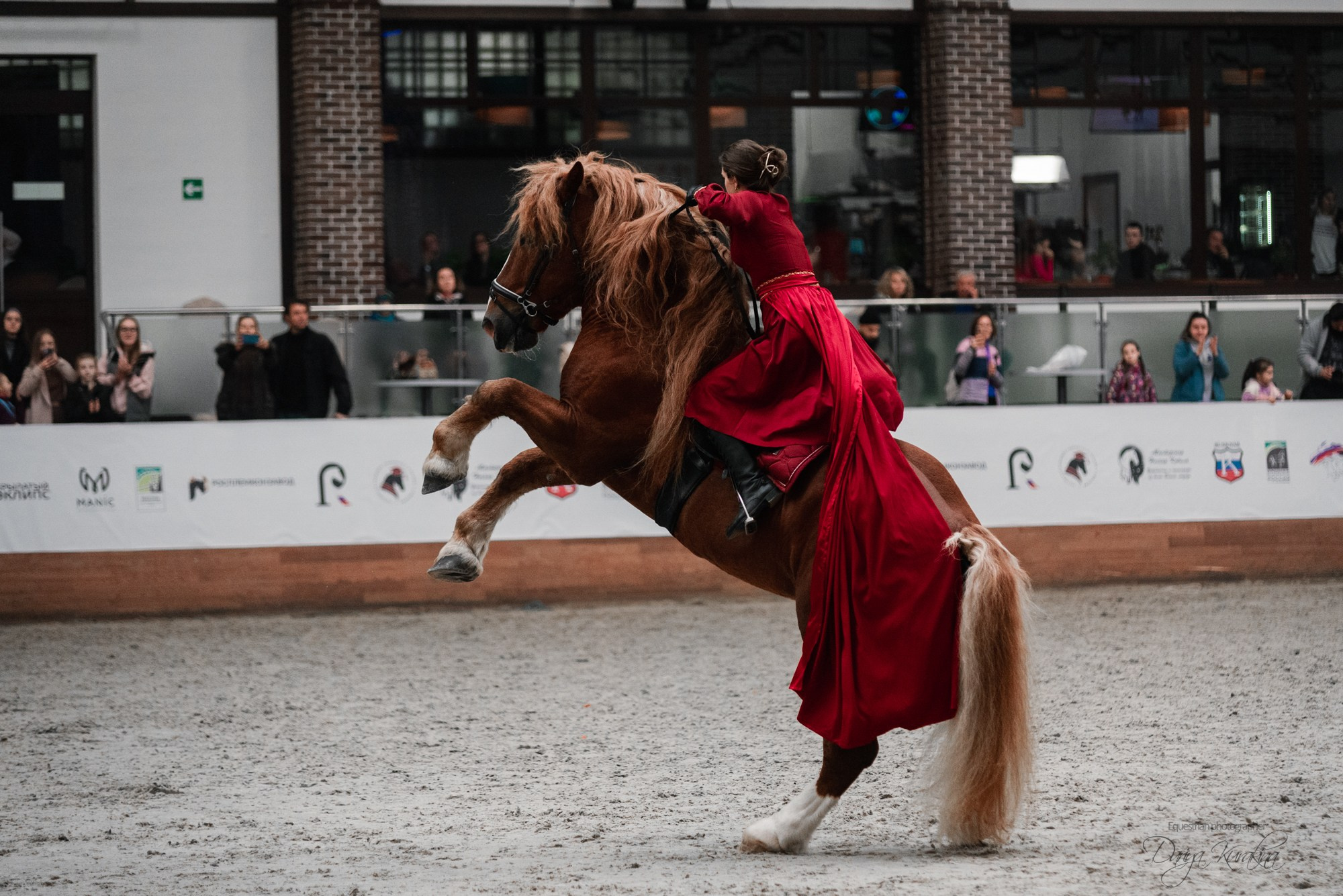 8-я международная выставка Конная Россия. Конный фотограф Куракина Дарья • Фотосессии с лошадьми