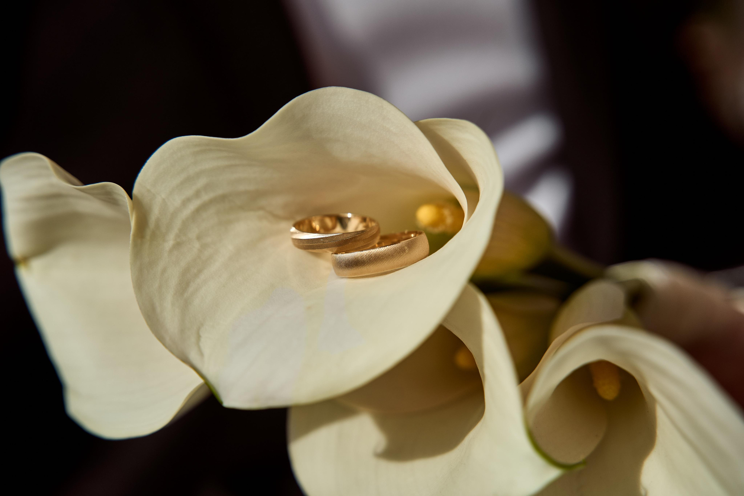 Роман & Екатерина. Свадебный фотограф и видеограф из Санкт-Петербурга Агарков Никита