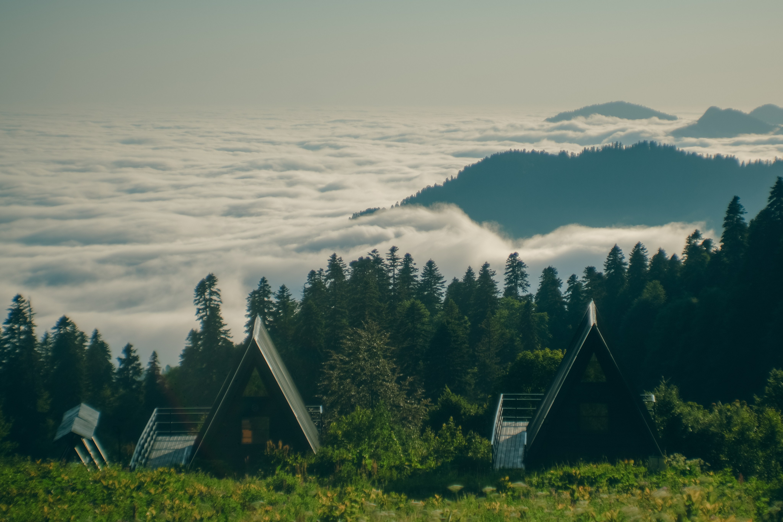 Нахазо ✽ Июль. Репортажный фотограф | Роза Хутор Красная Поляна Сочи Сириус