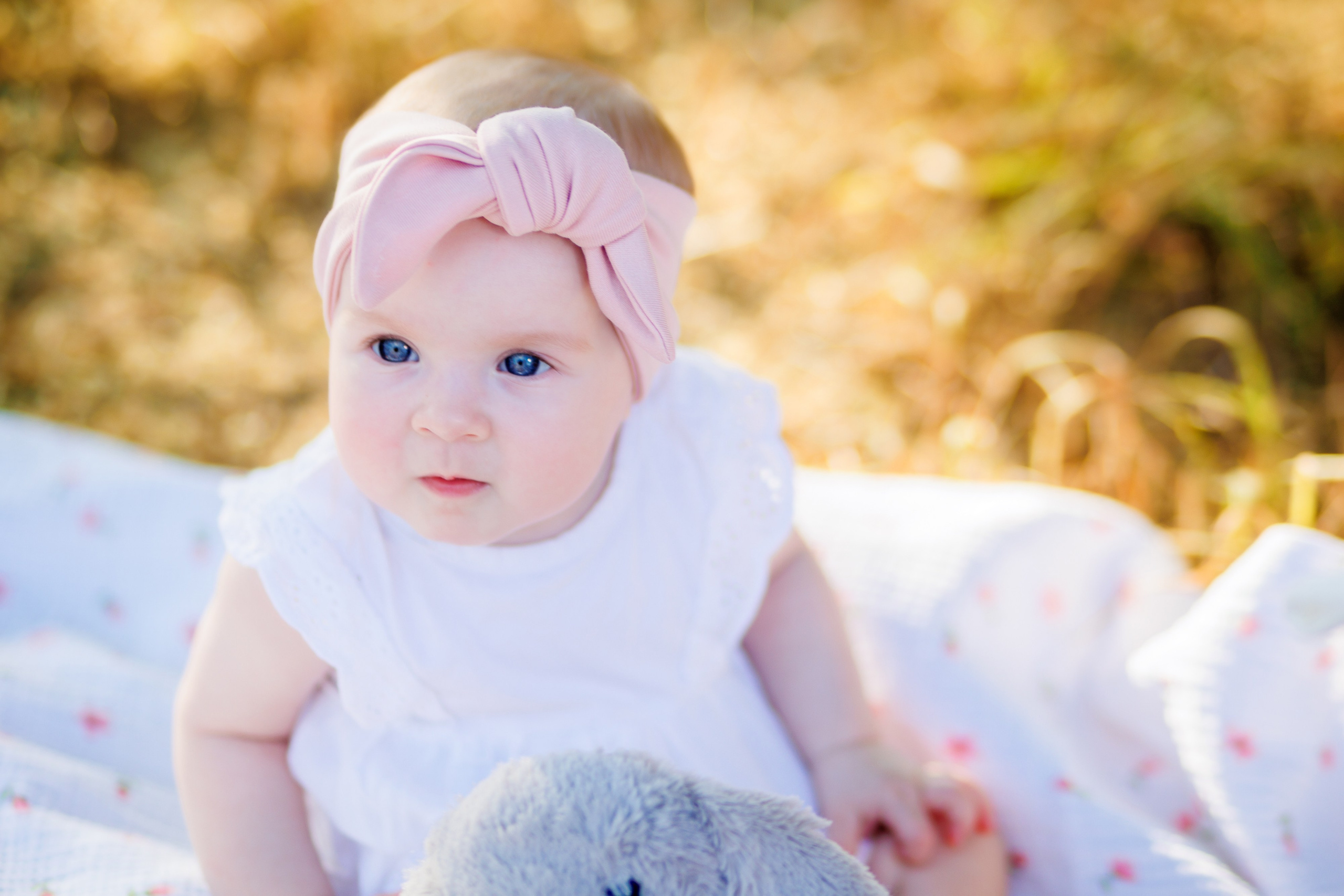 Прогулка на природе. Свадебный и семейный фотограф в Армавире