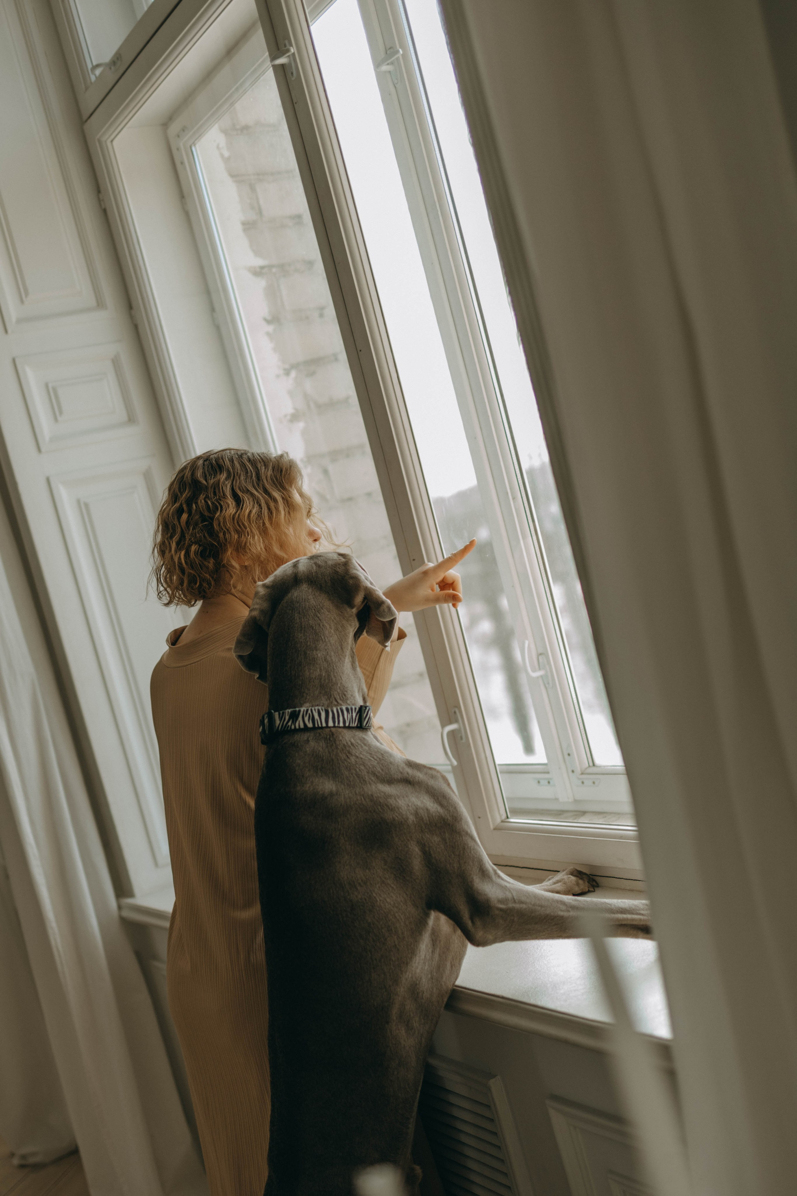 Фотосессия в студии с собакой. Фотограф-анималист в Екатеринбурге | Кристина