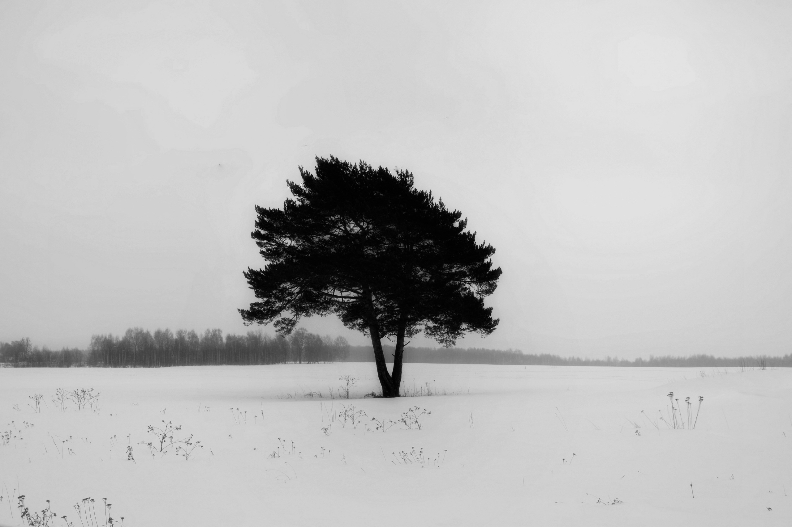 Портфолио. Фотограф в Москве