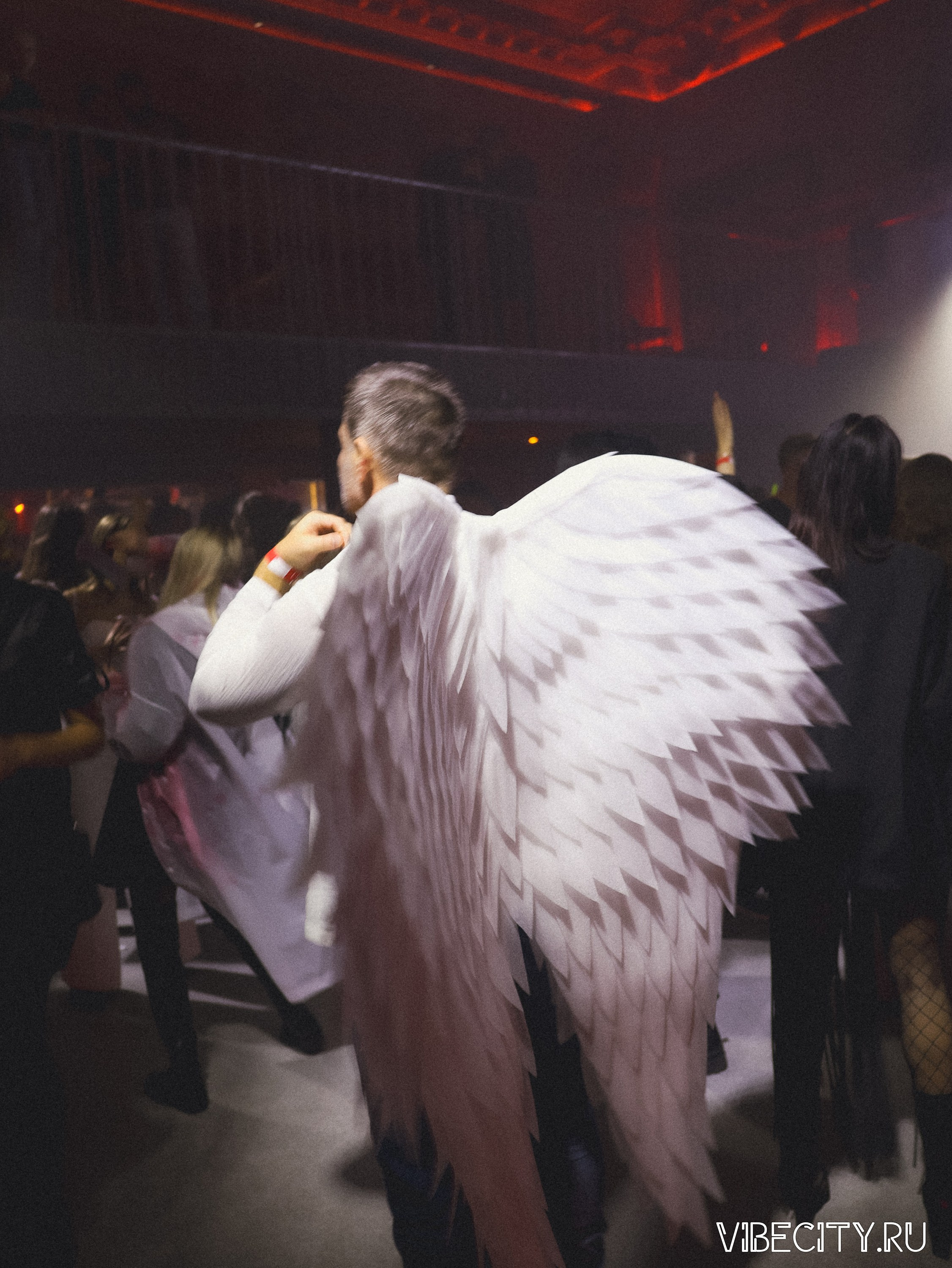 CULT. VIBECITY.RU Вайб Сити Ру Фоторепортажи Фотоотчеты Калининград