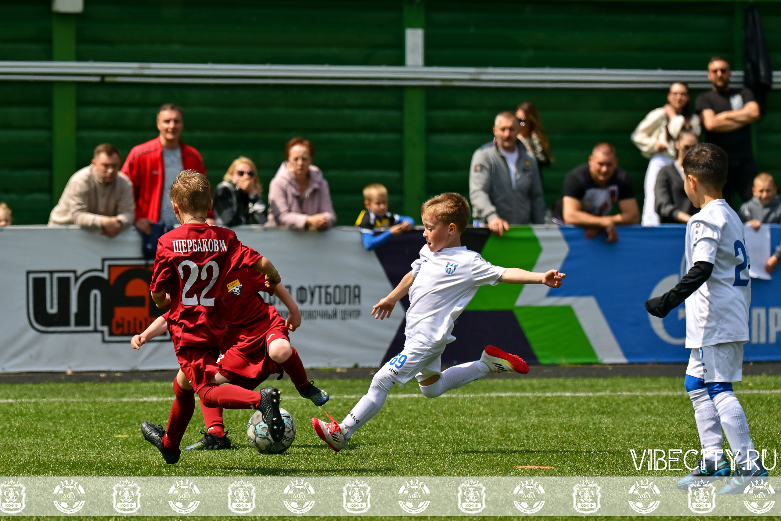 Большие Звезды светят Малым. VIBECITY.RU Вайб Сити Ру Фоторепортажи Фотоотчеты Калининград