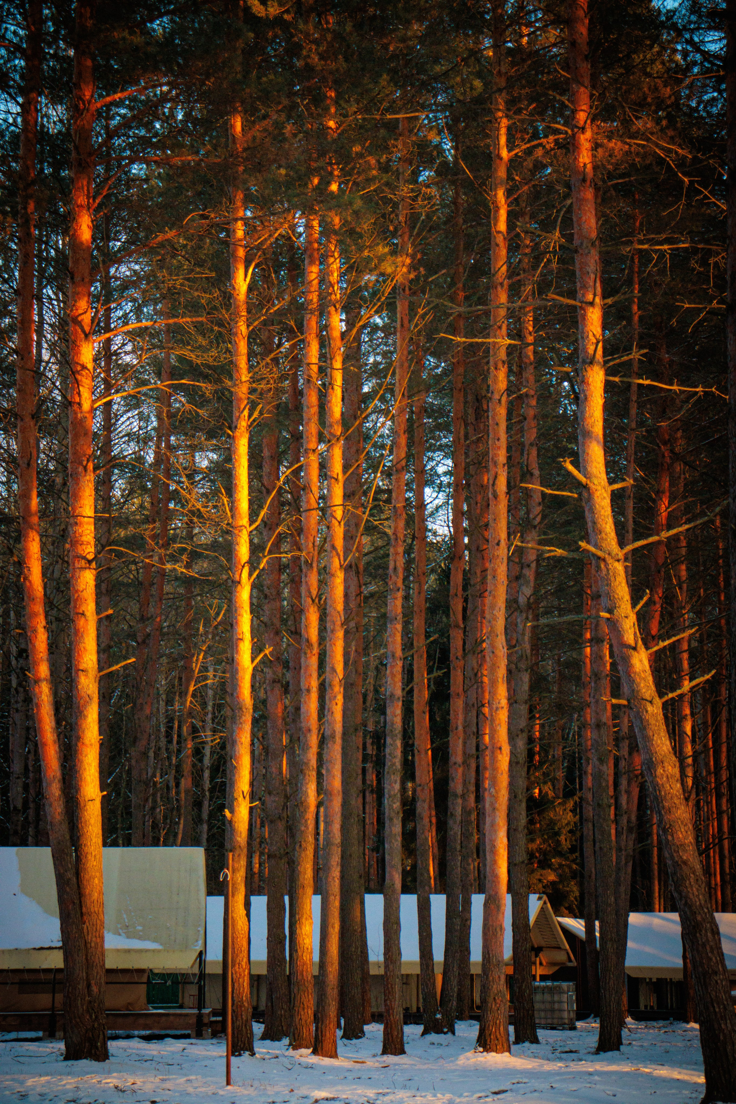 Репортаж / детский лагерь. Фотограф на трекинг и восхождение Эльбрус, Приэльбрусье. Елизавета Бобок