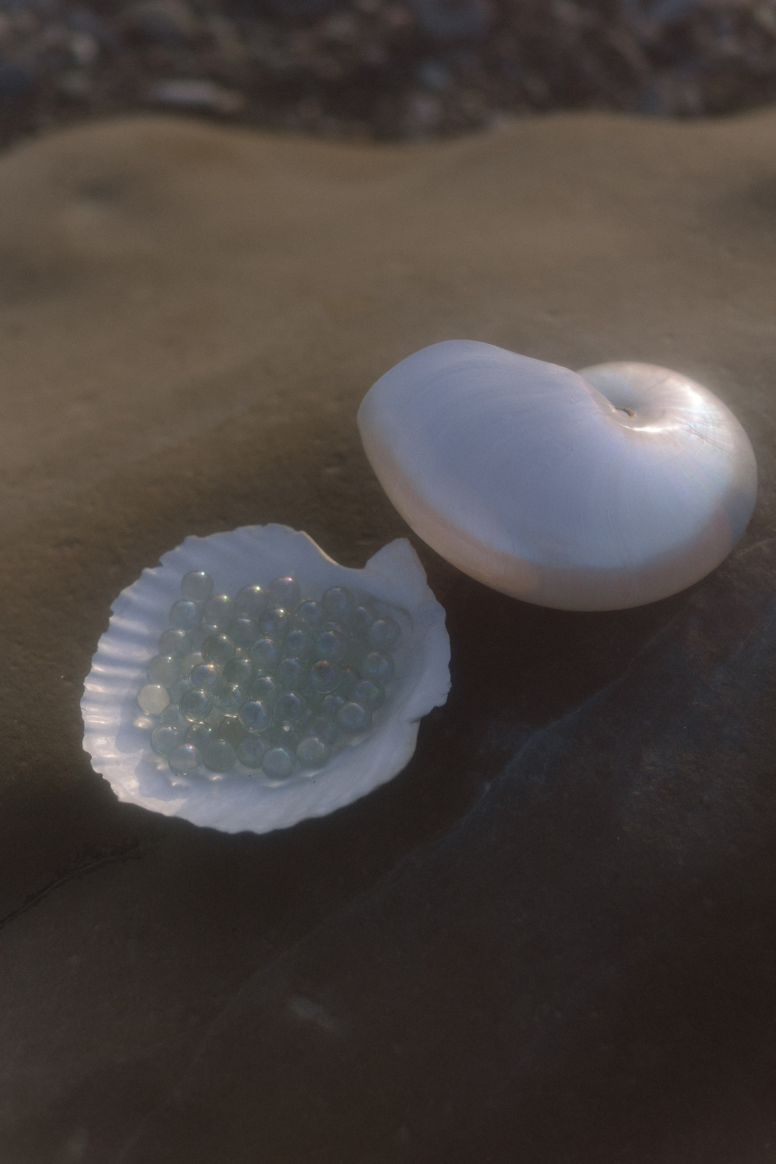 Alina & David. Свадебный фотограф в Москве Дмитрий Тарасов