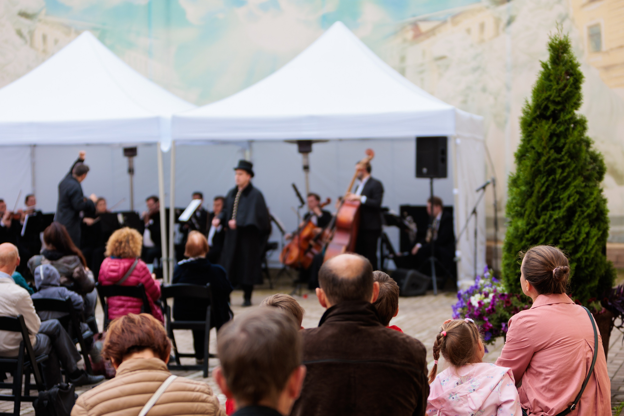 Концерт малого симфонического оркестра. Репортажный фотограф Санкт-Петербург | Роман Карбышев