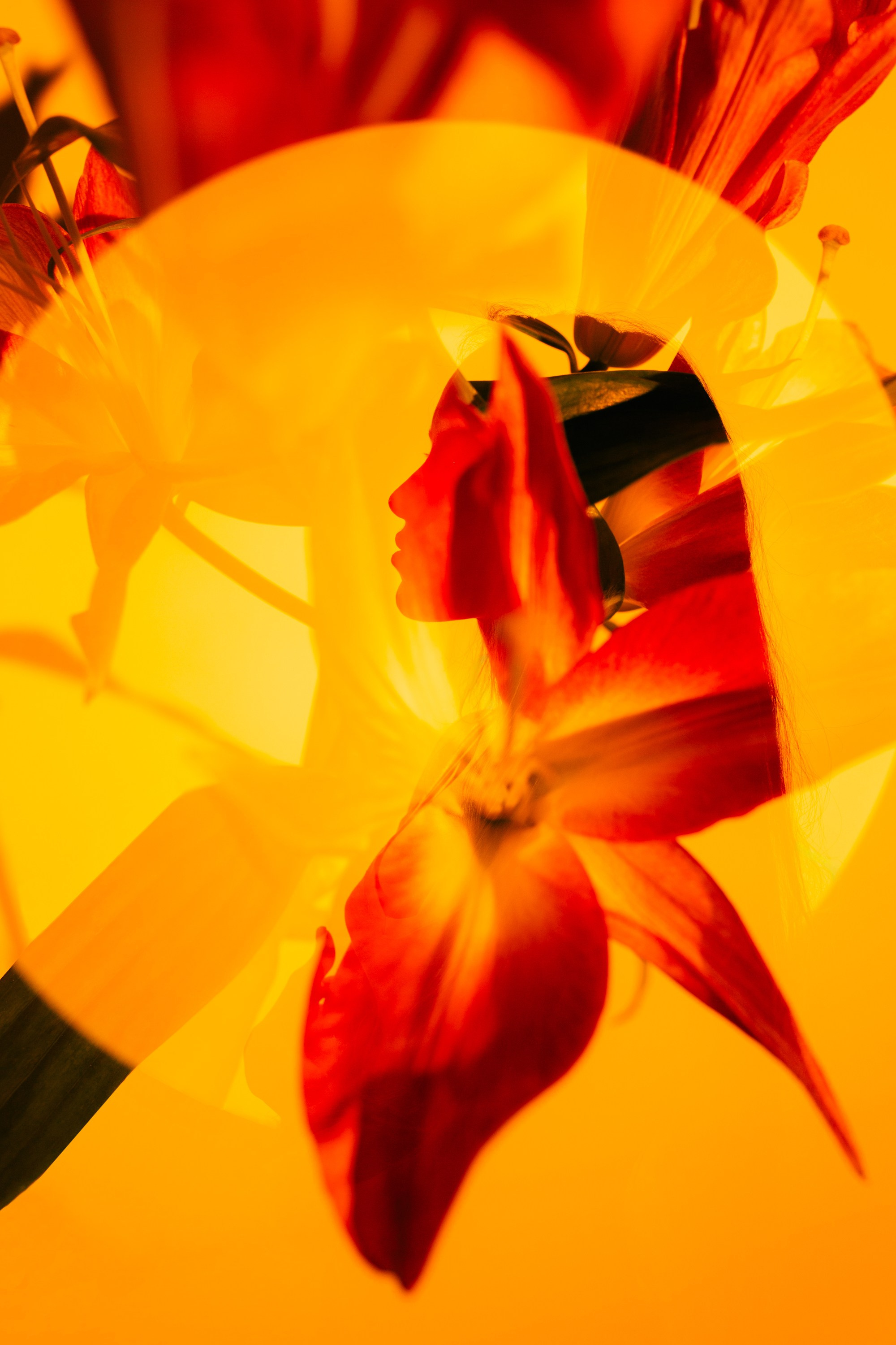 ЦВЕТНОЙ СВЕТ. Фотограф Оля Батист