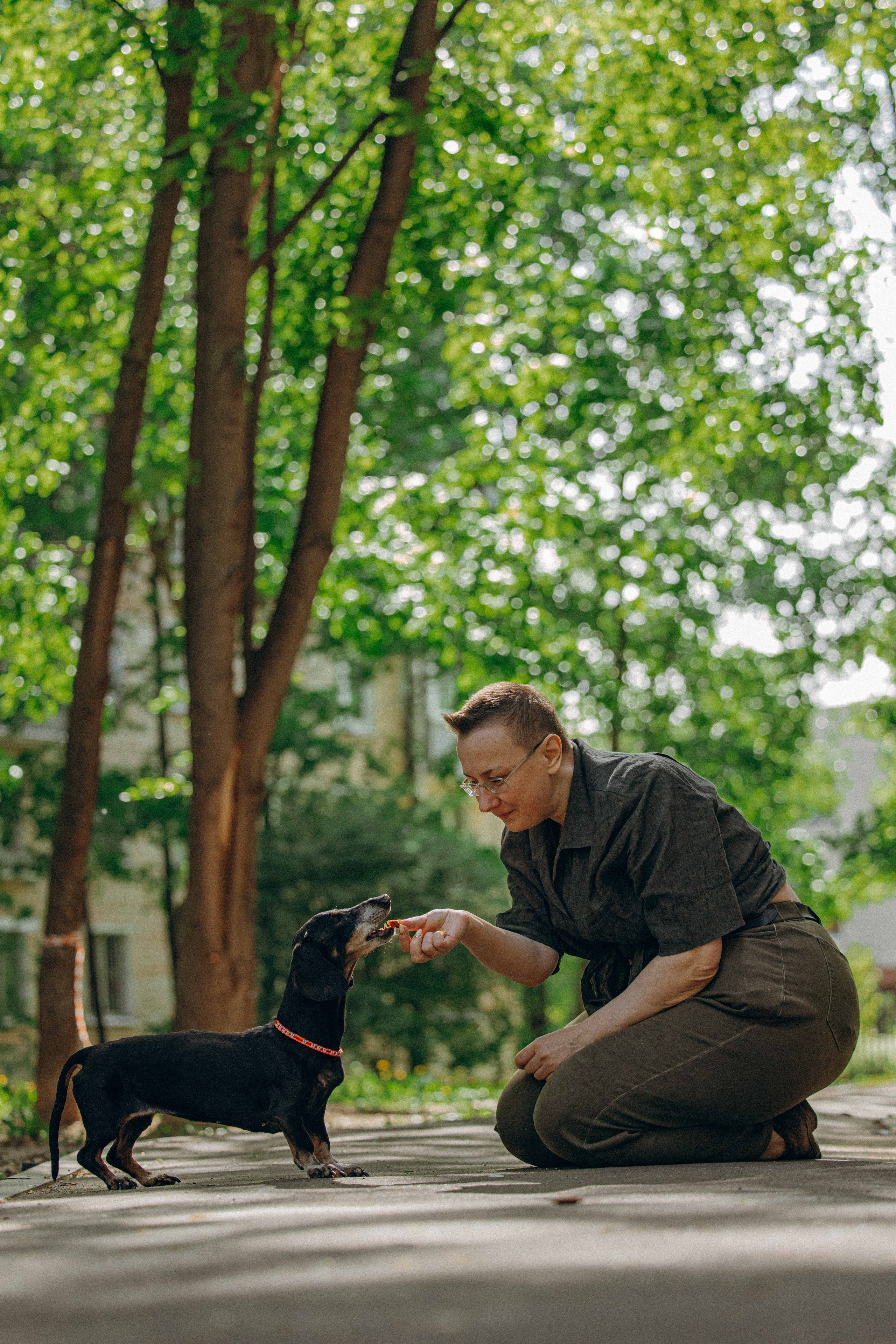 Наталья, Марфа и Норд. Фотограф-анималист в Москве Лера Черноног