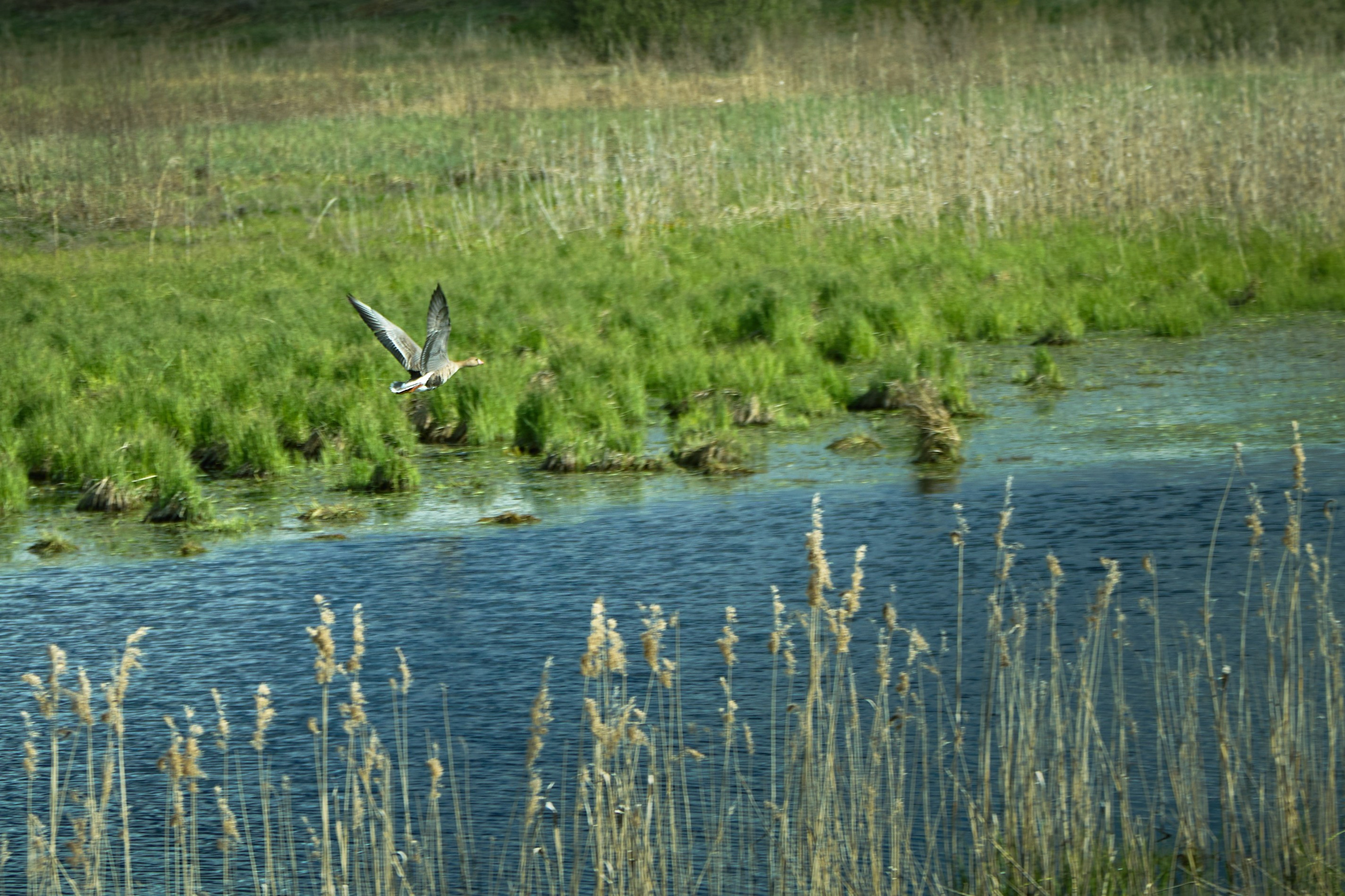 Пейзажная фотосъемка. Владимир Суздалов (ProMaXe) — Портретный фотограф, тематические фотосессии в Чебоксарах