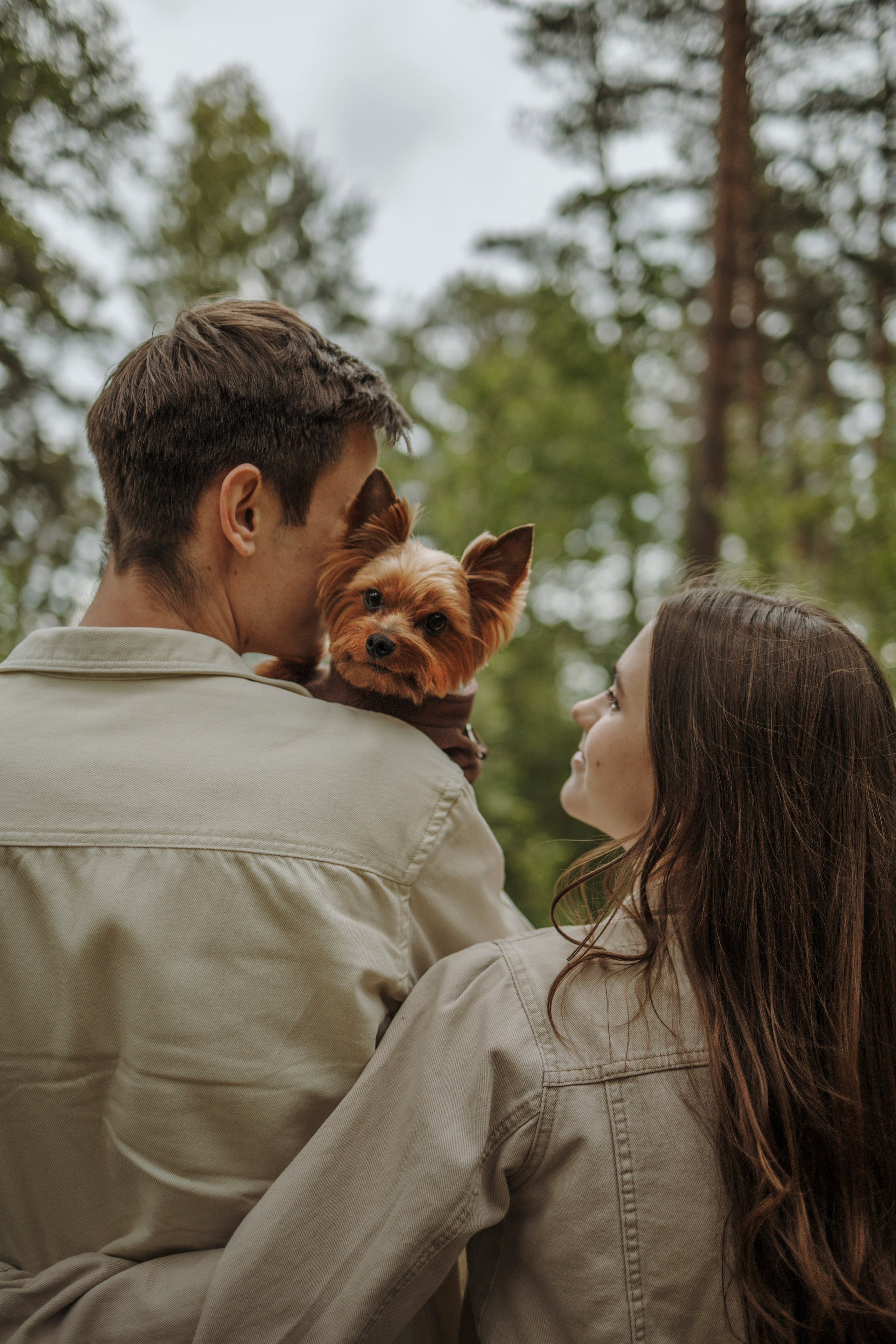 День из жизни Чуи и его семьи. Фотограф-анималист в Санкт-Петеребурге Титова Алиса