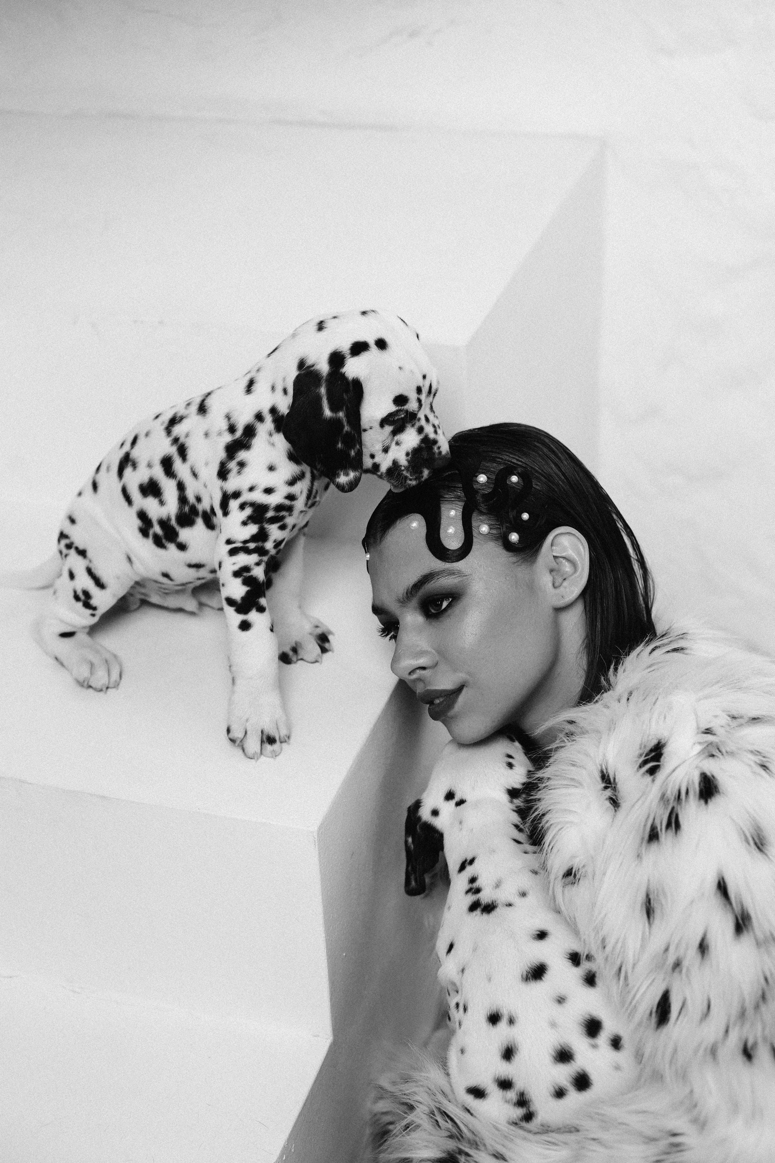 Md:@m_korsunenko Hair: @aleksandrova.hair Org: @creative_photoday Loc: Ark studio | фотостудия СПБ Dogs: vk.com/club2372836