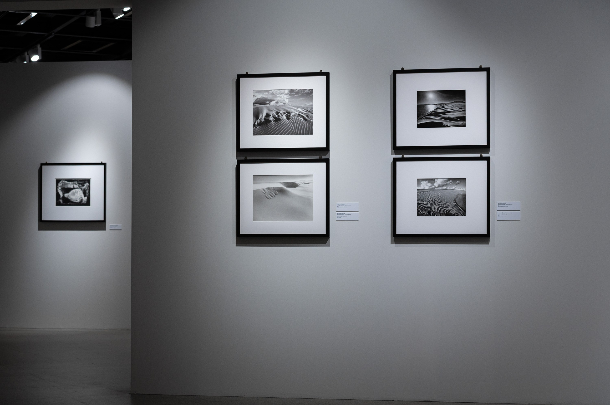 Выставка «От дагерротипа до ИИ». Alexandrovna photography