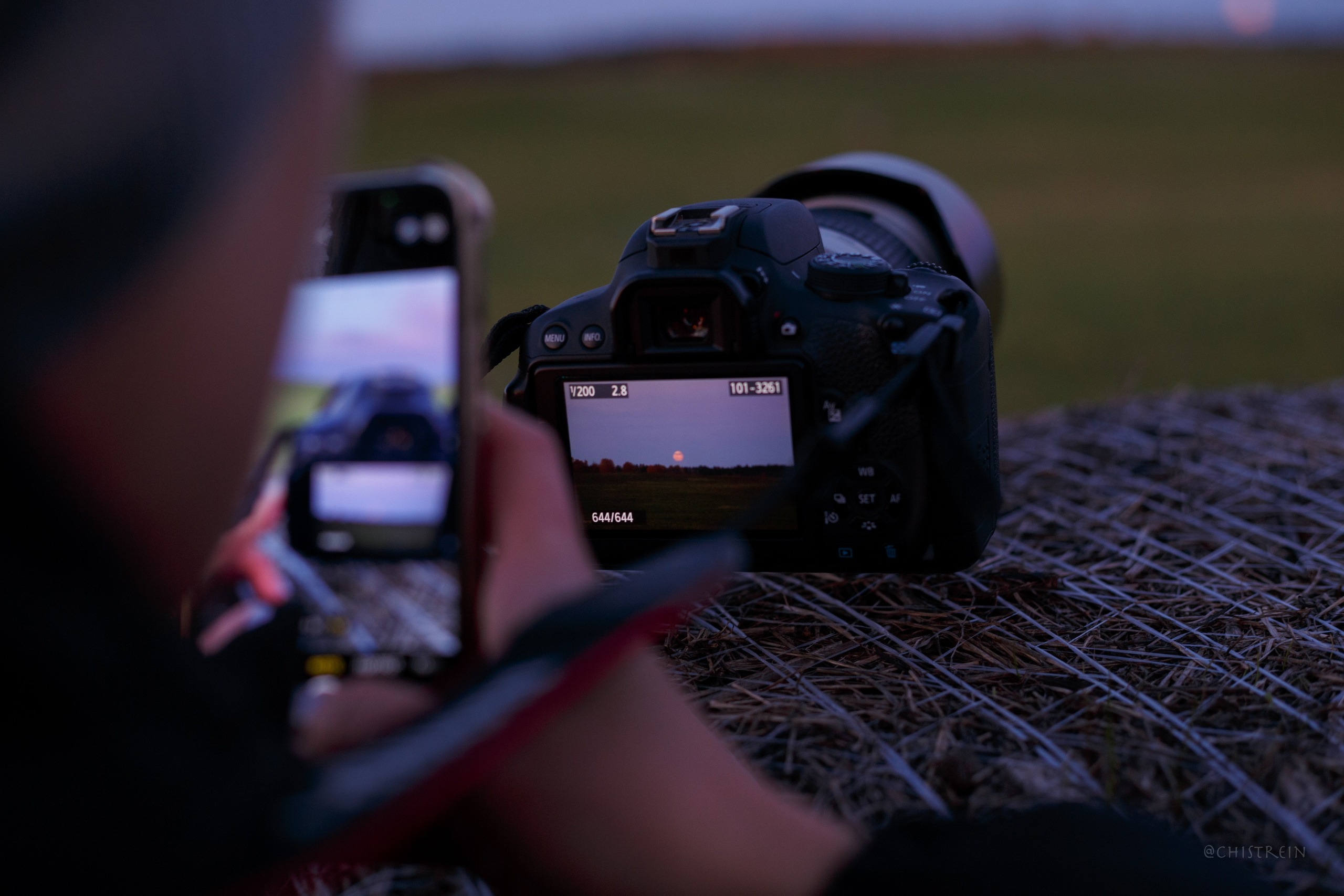 Октябрьский закат в полях. Алина и Лео. Фотограф-анималист Наталия Чистюхина в г. Сосновый Бор и ЛО