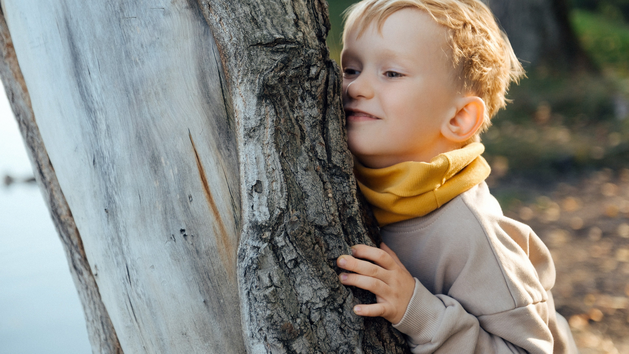 Осень. Свадебный Видеограф Фотограф в Сочи